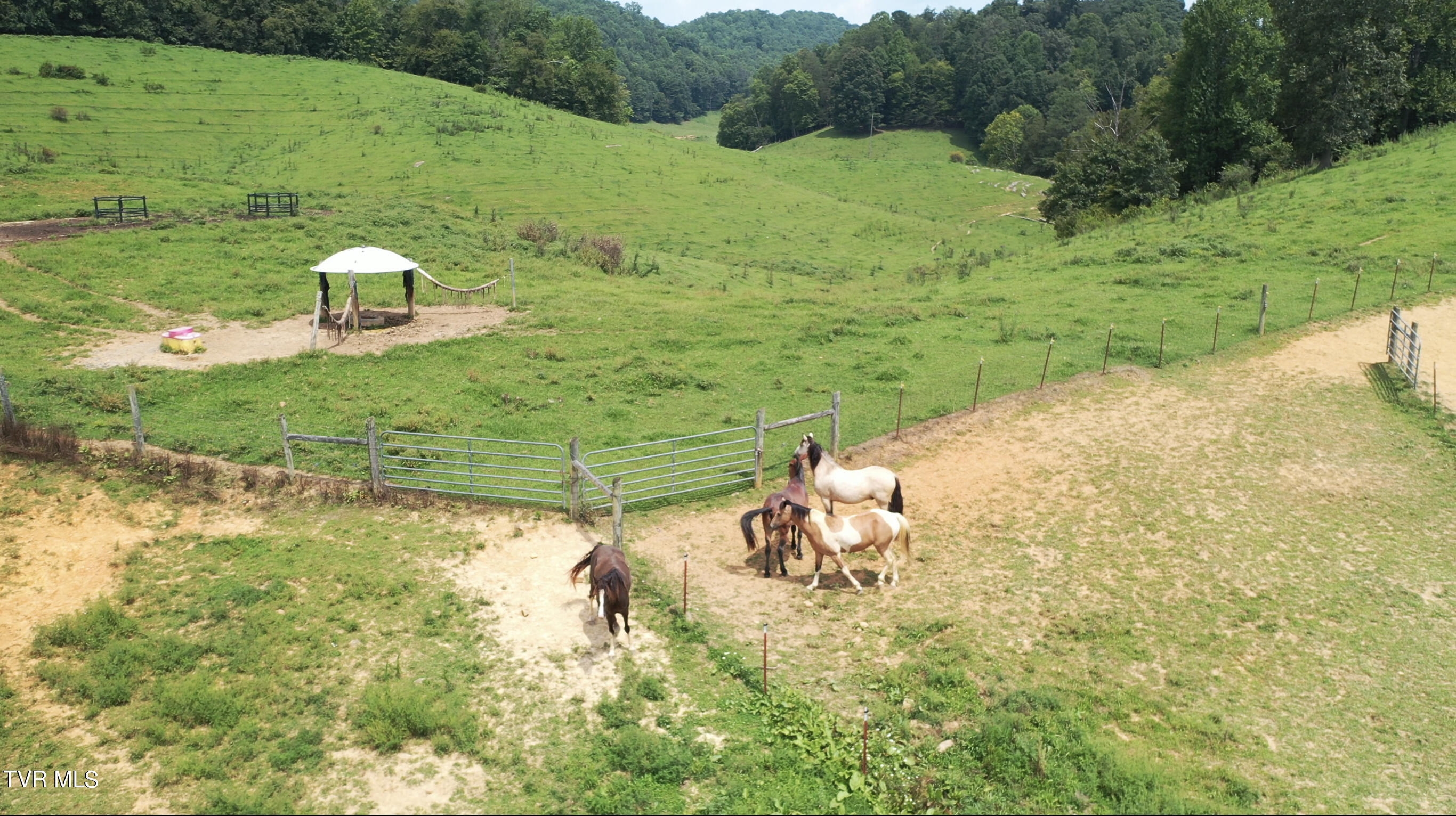 868 Caney Valley Loop Property Photo 84