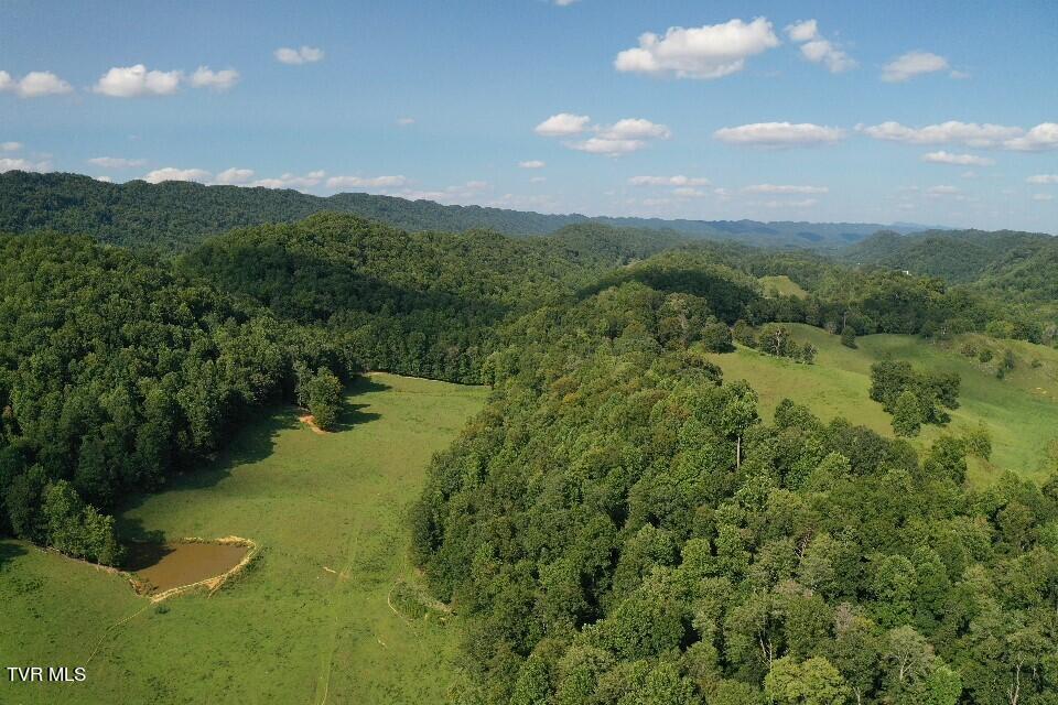 868 Caney Valley Loop Property Photo 88