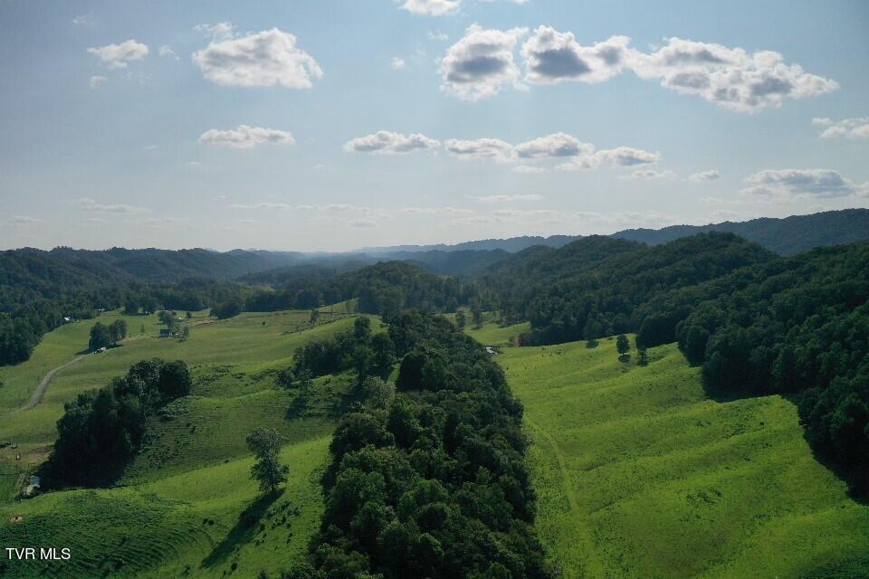 868 Caney Valley Loop Property Photo 89