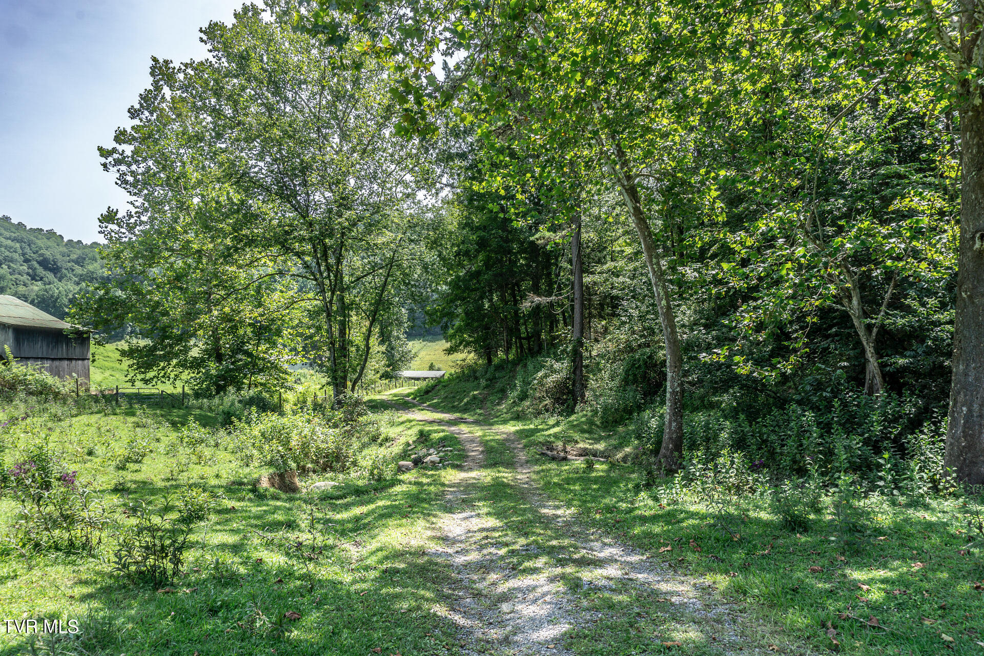 868 Caney Valley Loop Property Photo 96