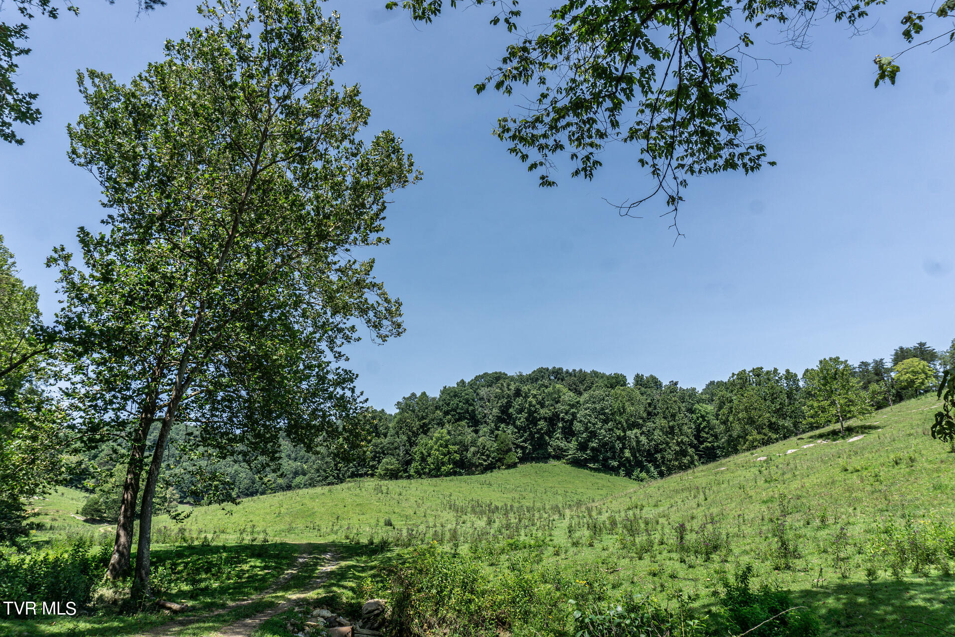 868 Caney Valley Loop Property Photo 97