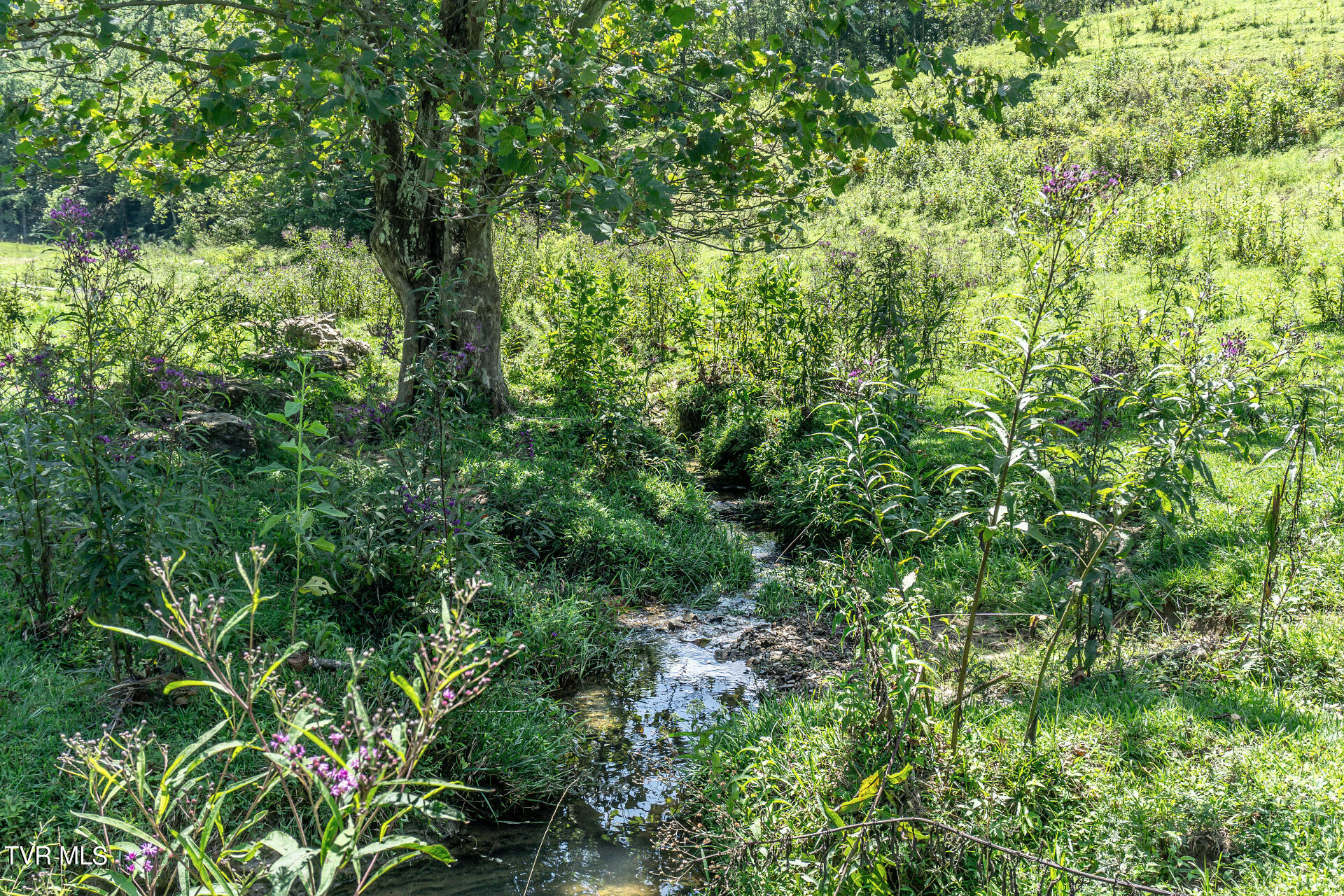 868 Caney Valley Loop Property Photo 98