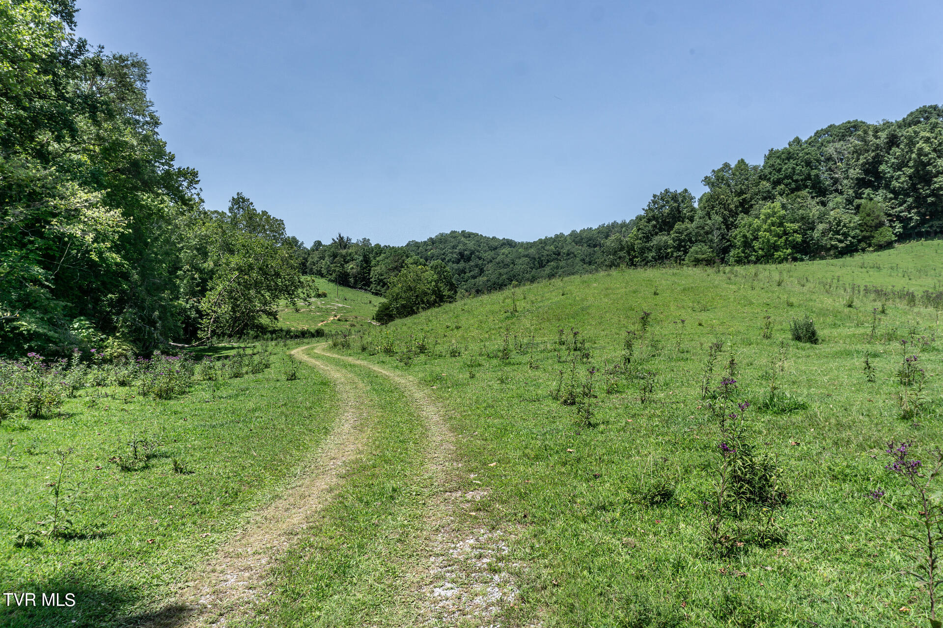 868 Caney Valley Loop Property Photo 99