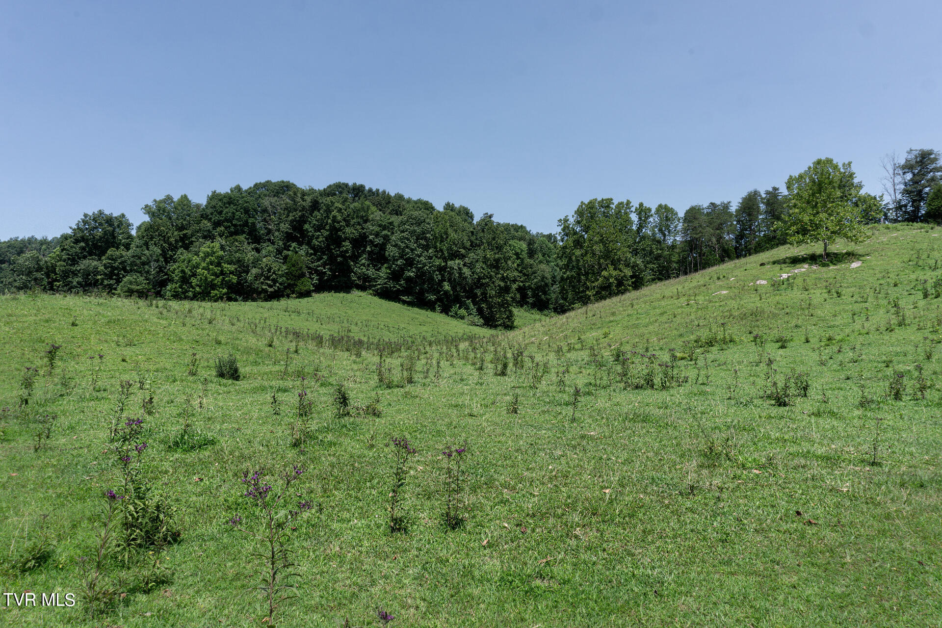 868 Caney Valley Loop Property Photo 100