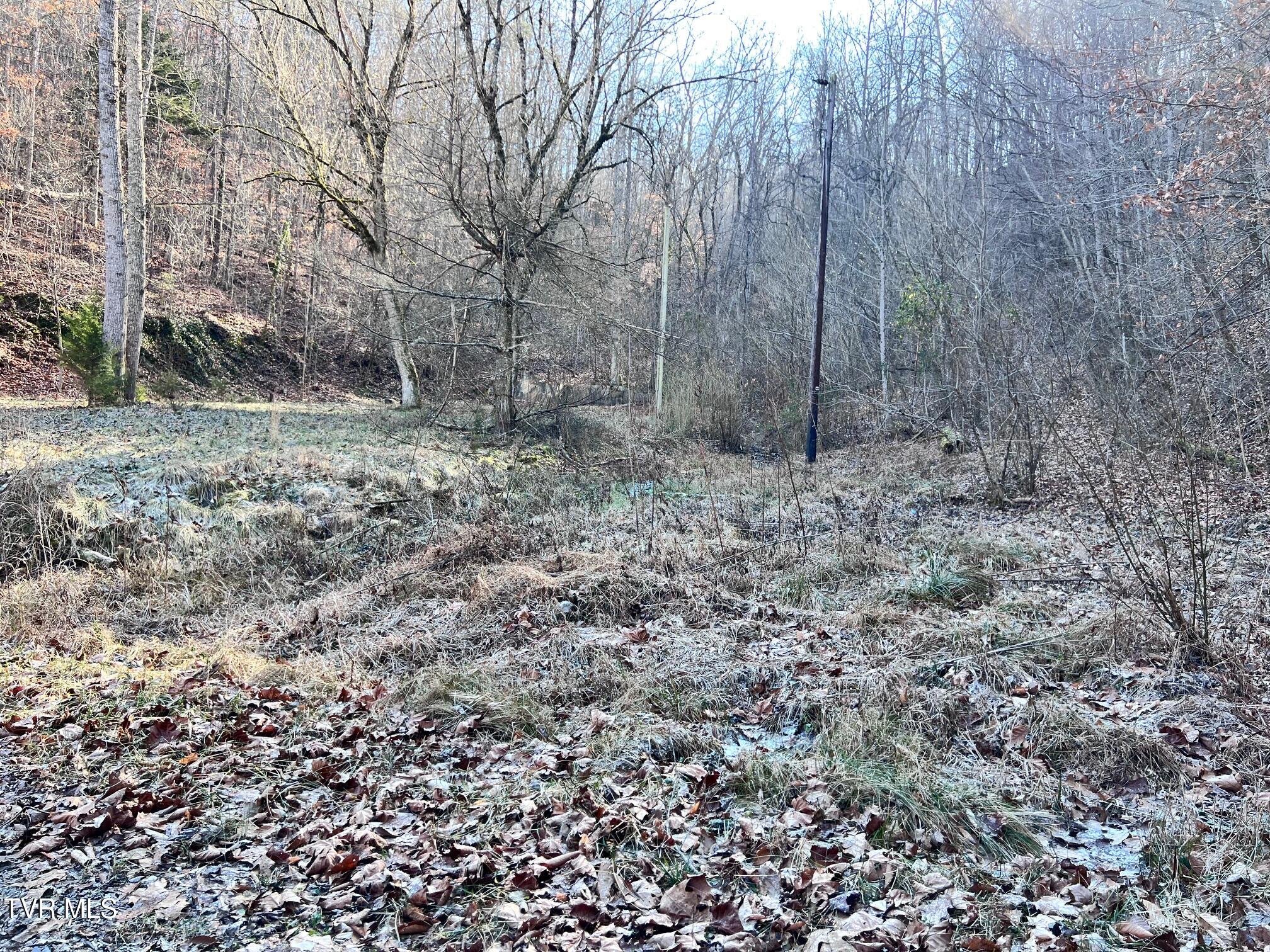 Tract 1 Bundren Mountain Road Property Photo 1