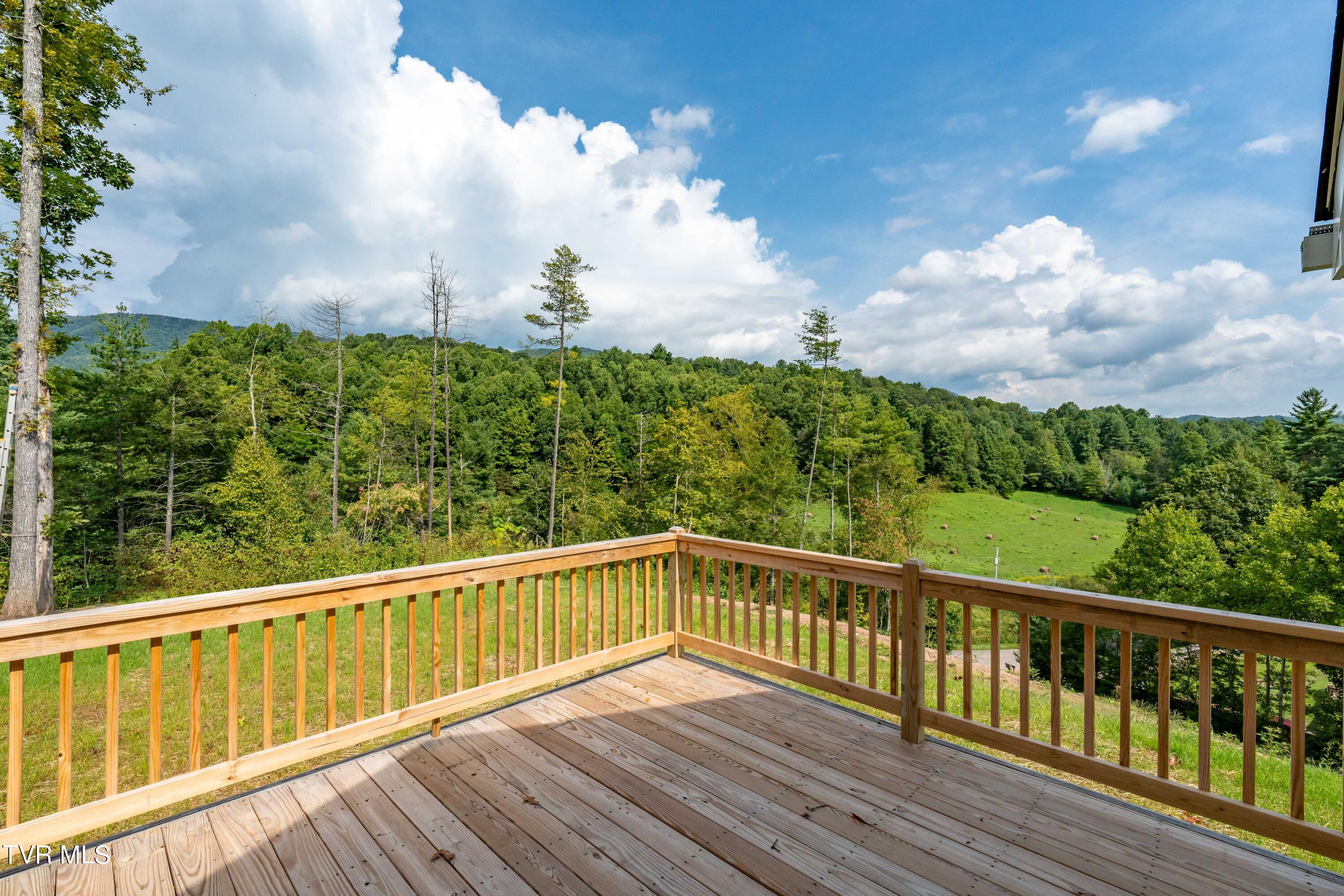 1005 Campbell Road Property Photo 44