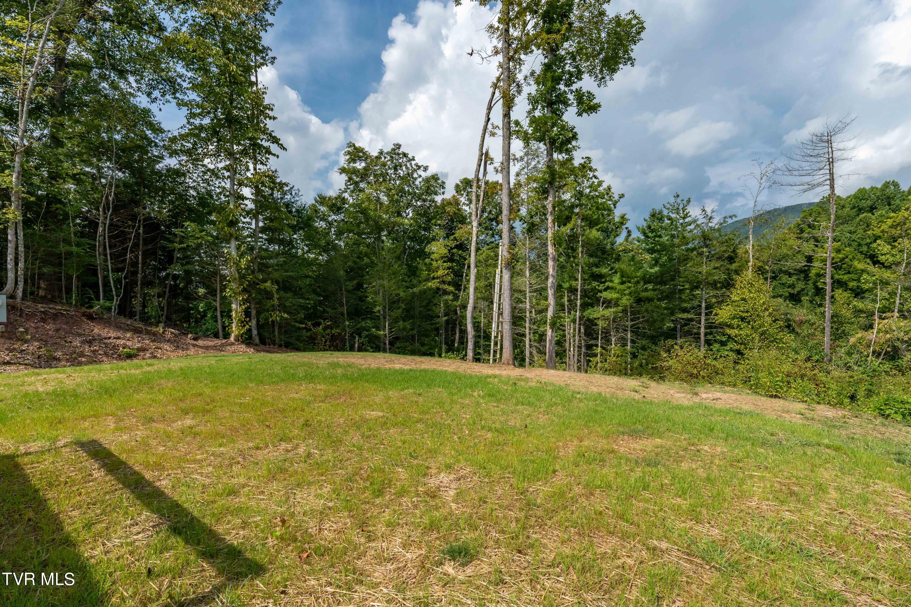 1005 Campbell Road Property Photo 46