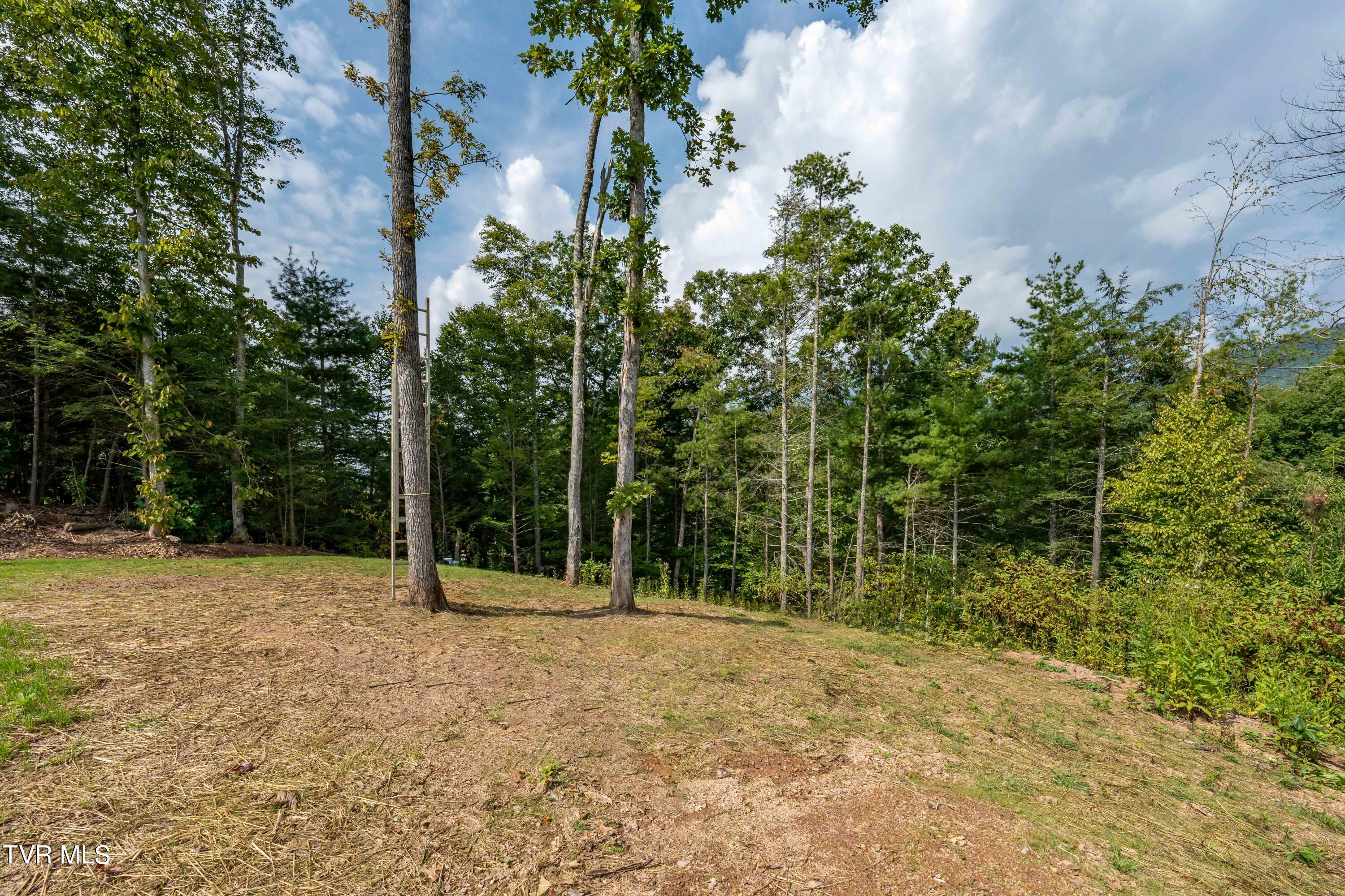 1005 Campbell Road Property Photo 47
