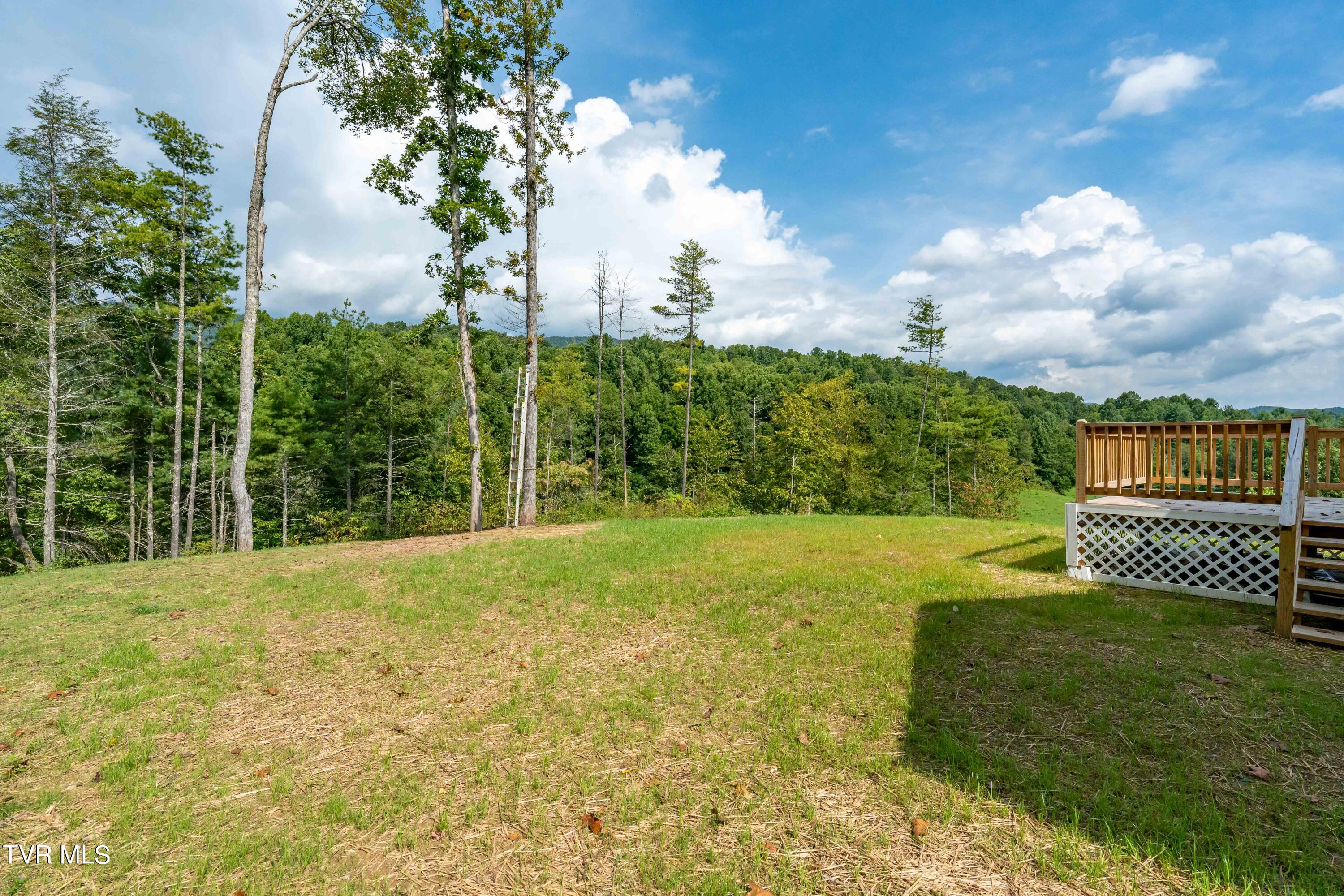 1005 Campbell Road Property Photo 49