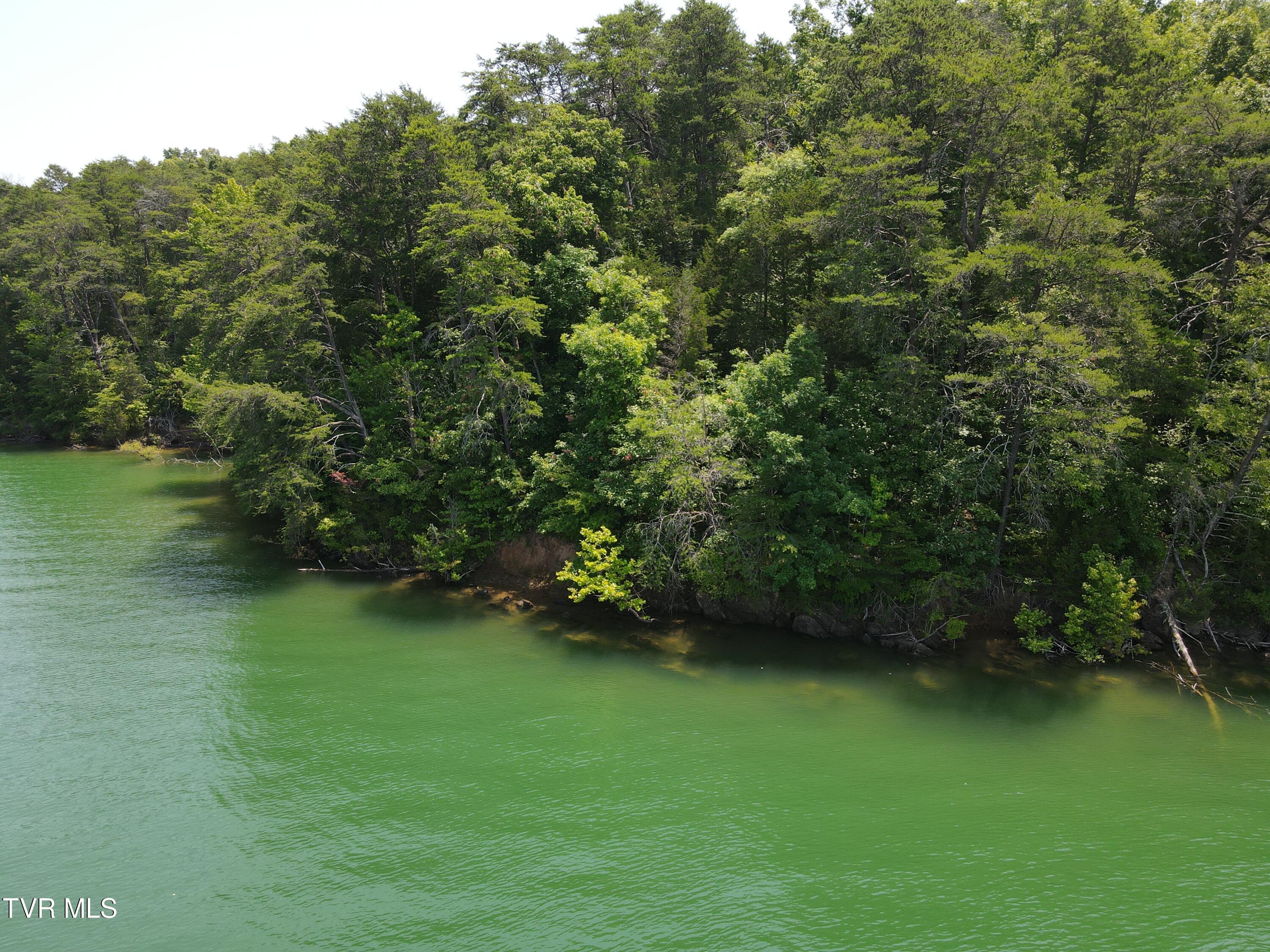 Tbd Needles Way Property Photo 3