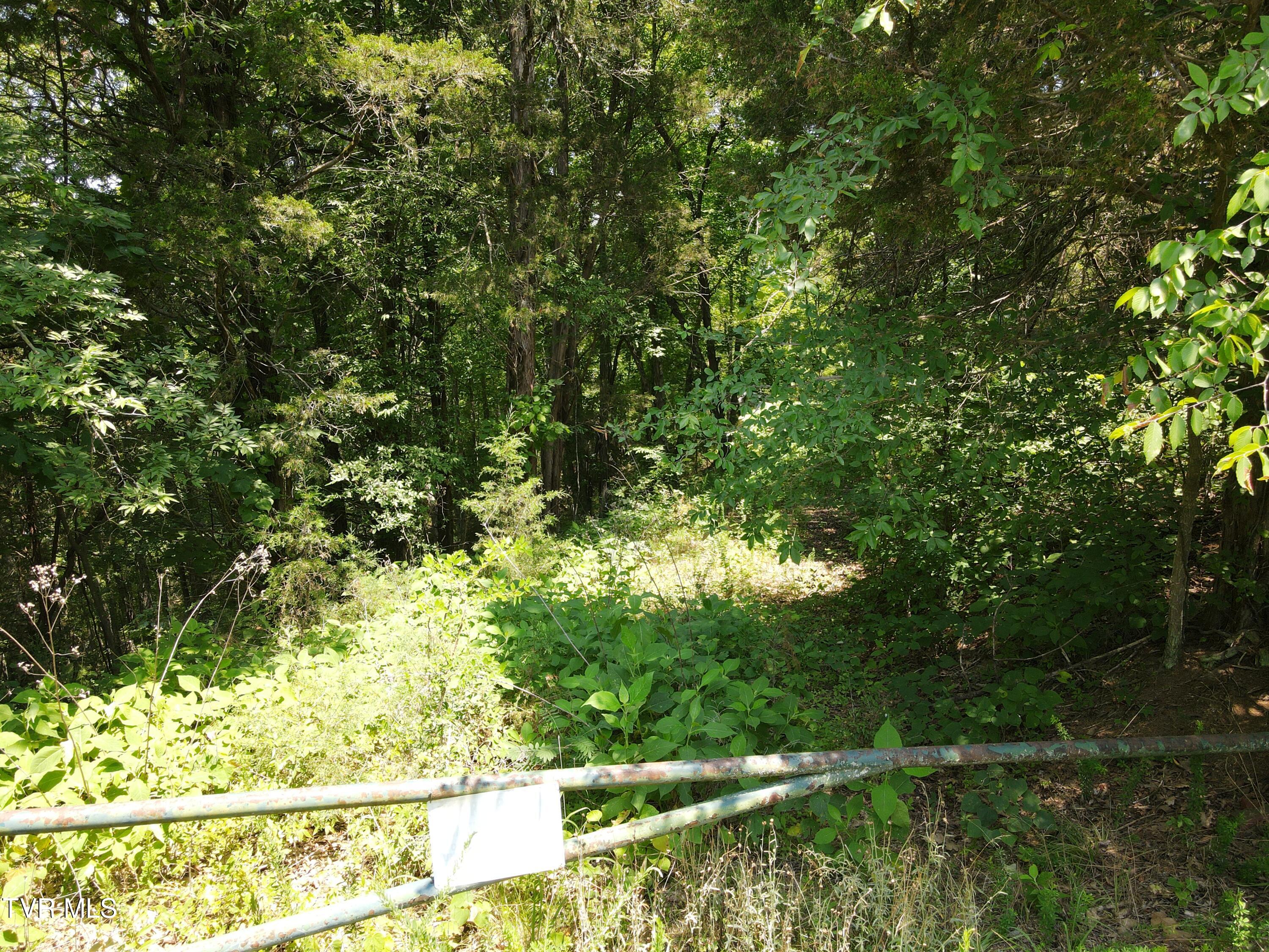 Tbd Needles Way Property Photo 4