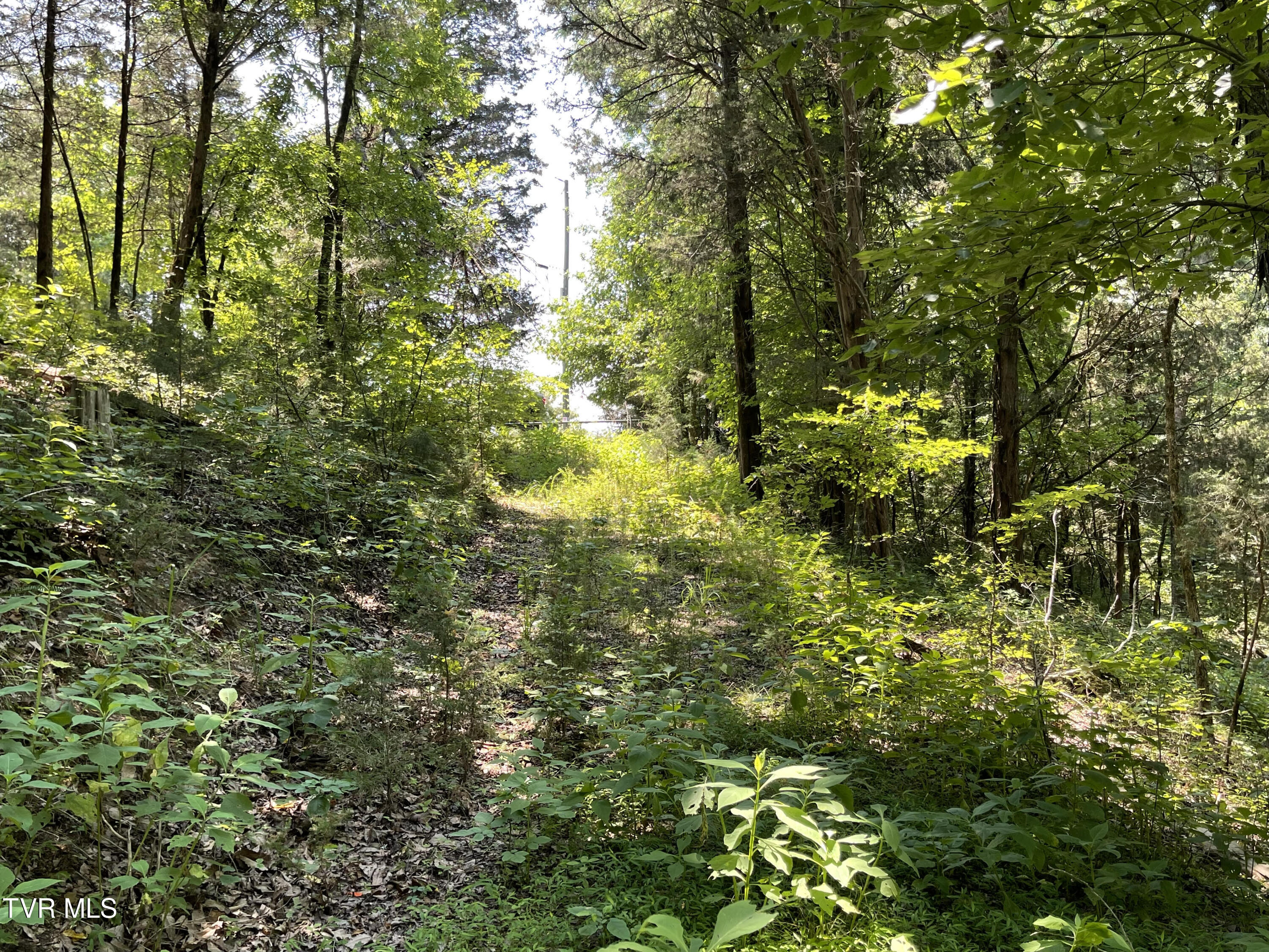 Tbd Needles Way Property Photo 5
