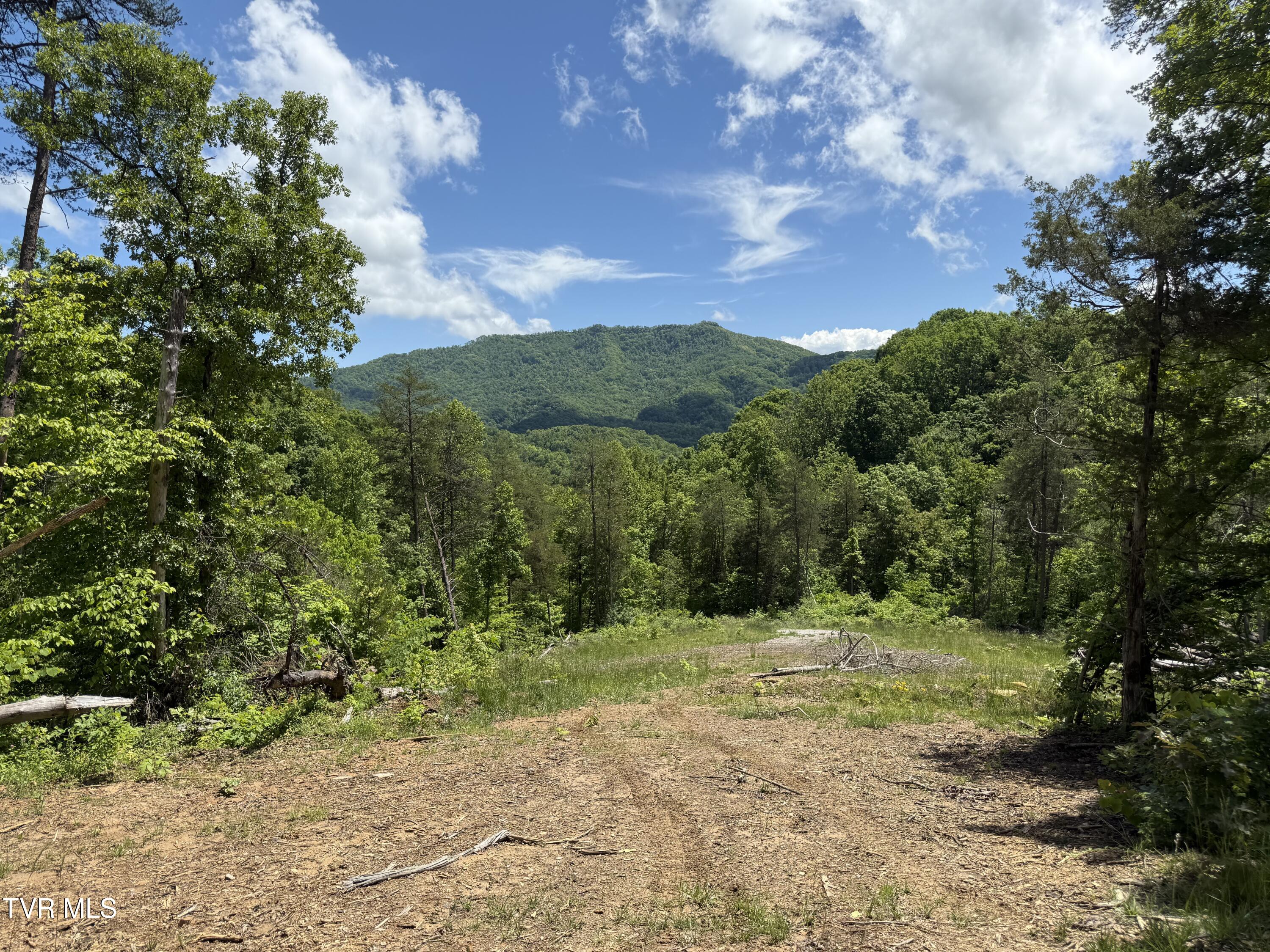 146/ac Tbd Simpson Loop Property Photo