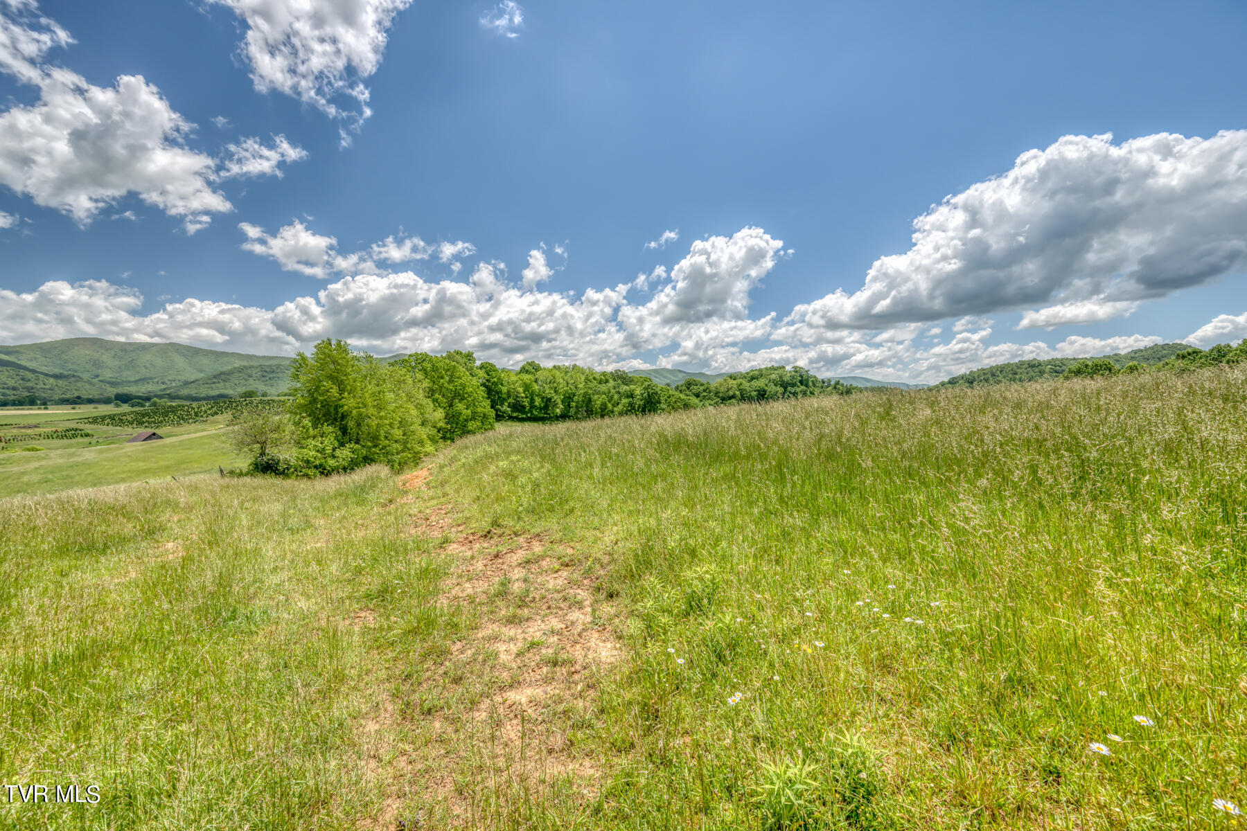 937 Big Dry Run Road Property Photo 2