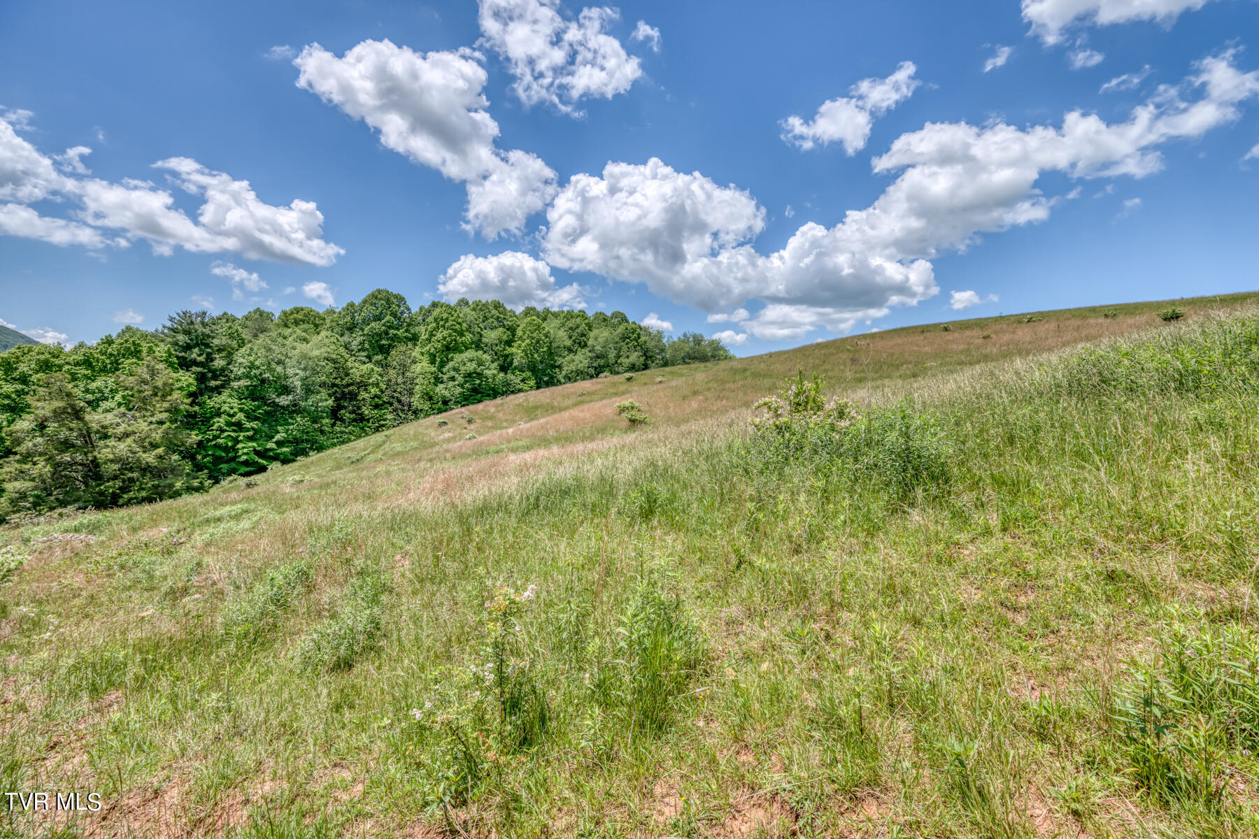 937 Big Dry Run Road Property Photo 4