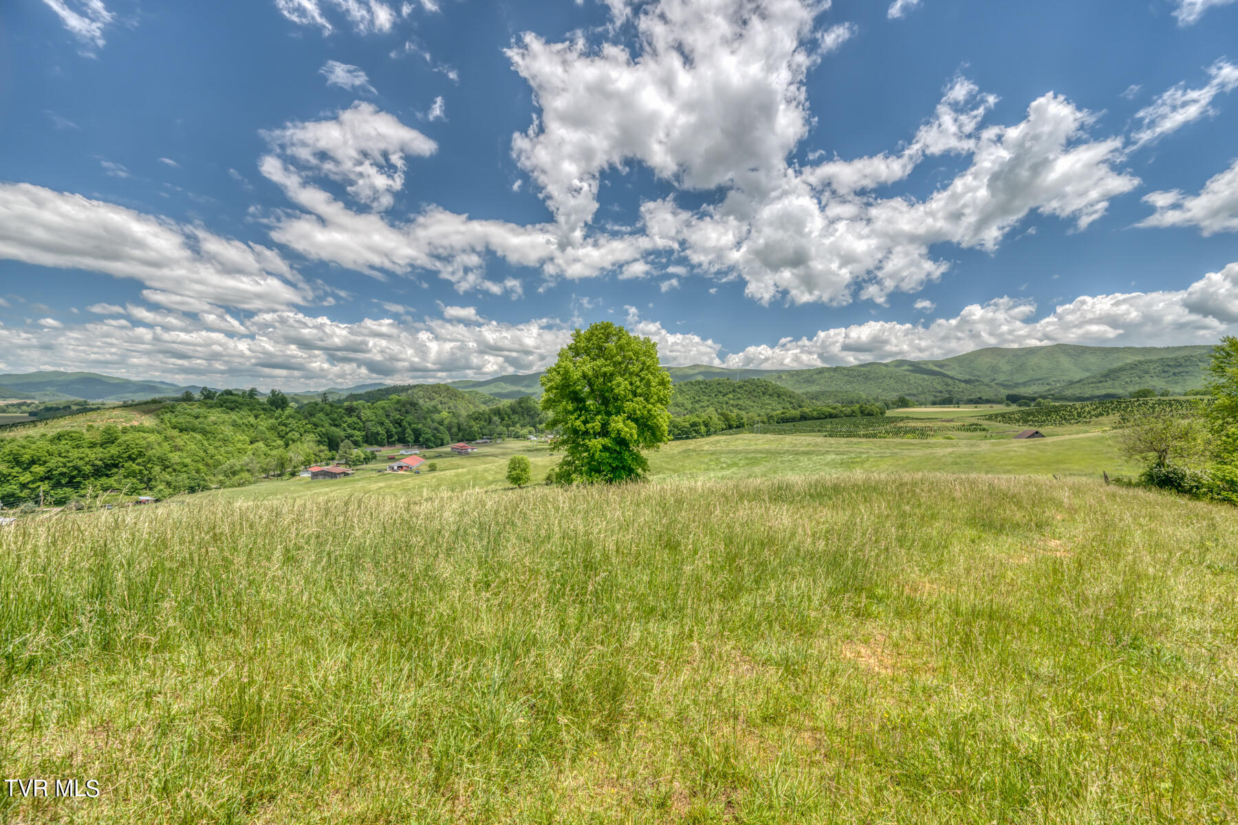 937 Big Dry Run Road Property Photo 5