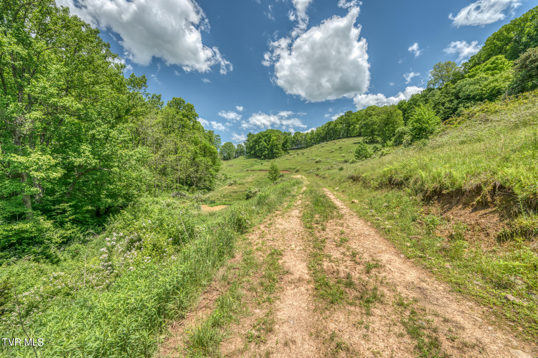 937 Big Dry Run Road Property Photo 8