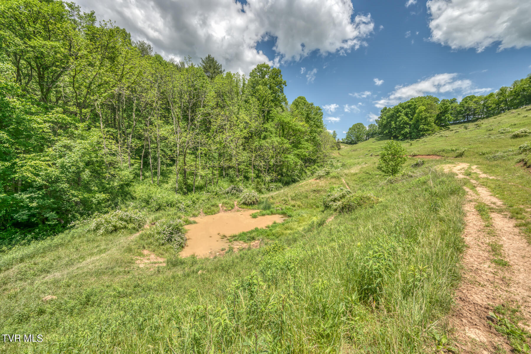 937 Big Dry Run Road Property Photo 9