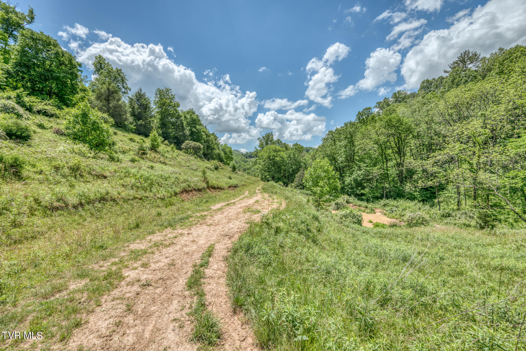937 Big Dry Run Road Property Photo 10