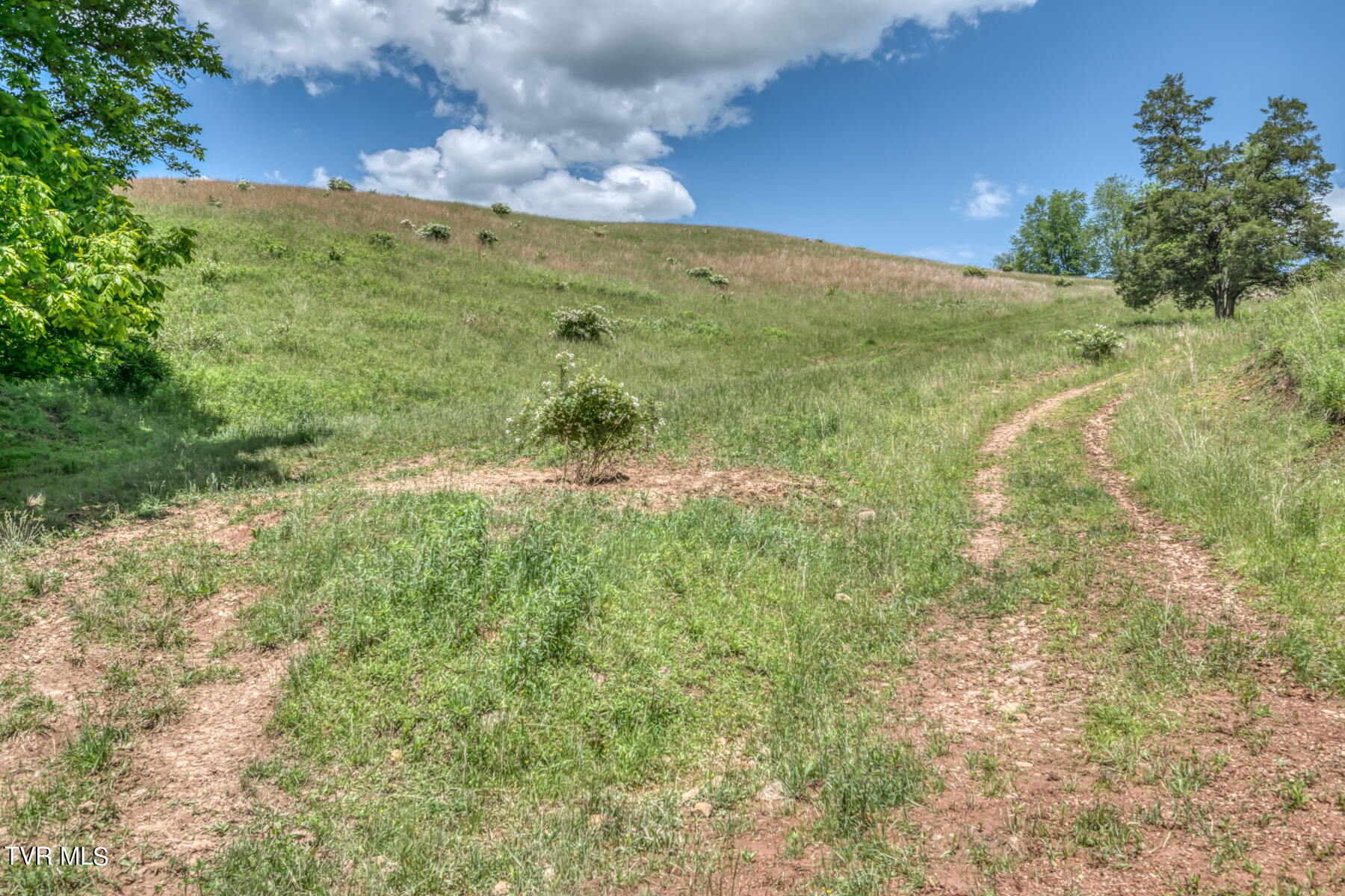 937 Big Dry Run Road Property Photo 11