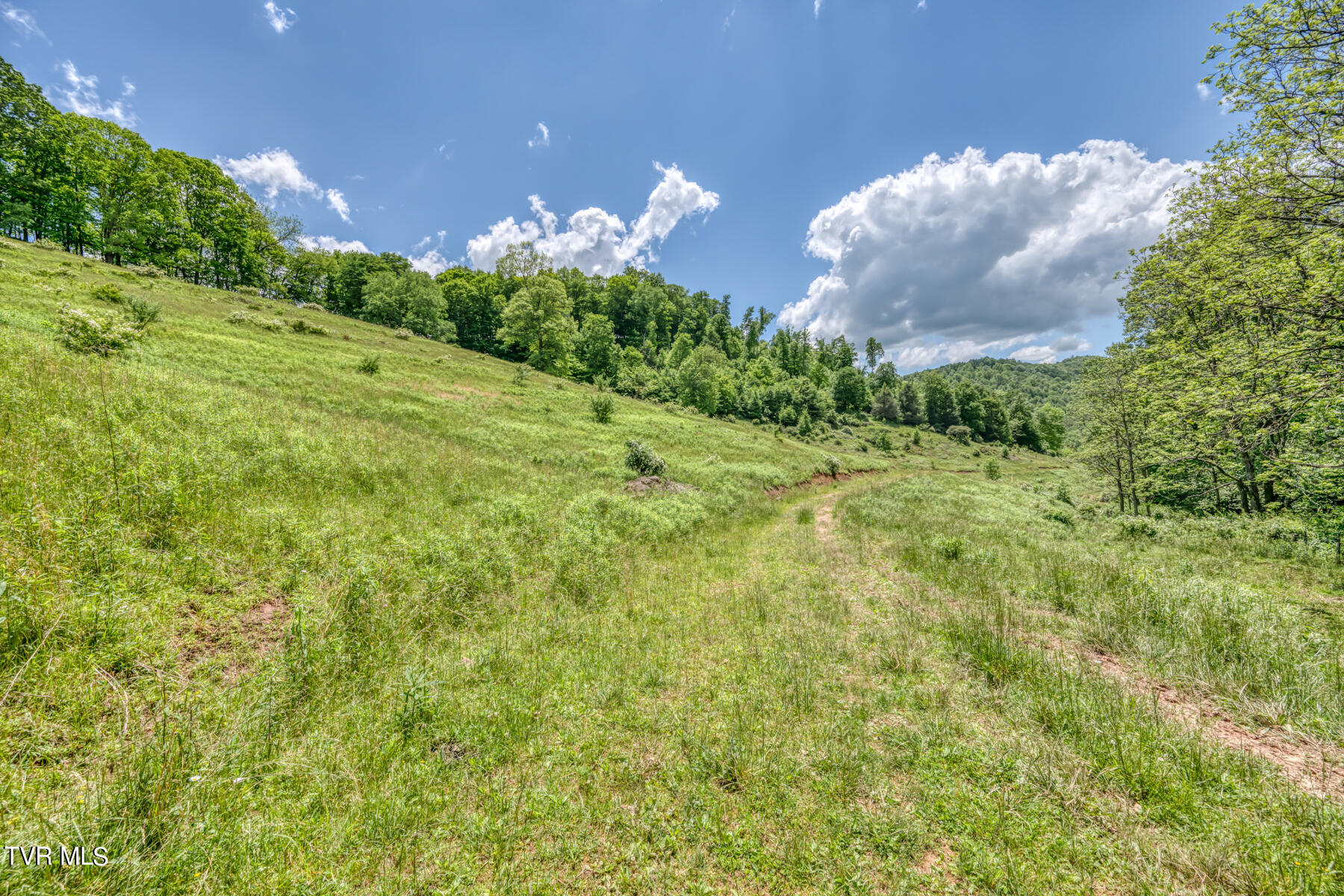 937 Big Dry Run Road Property Photo 12