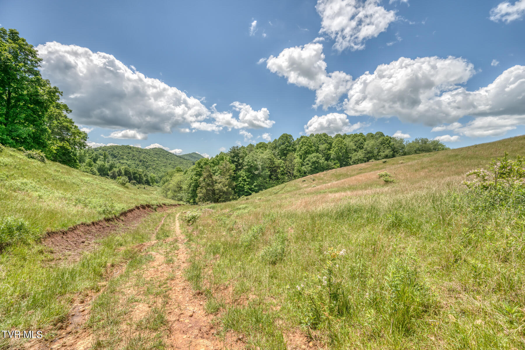 937 Big Dry Run Road Property Photo 13