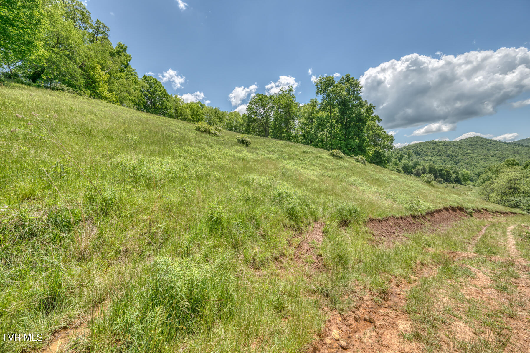 937 Big Dry Run Road Property Photo 14