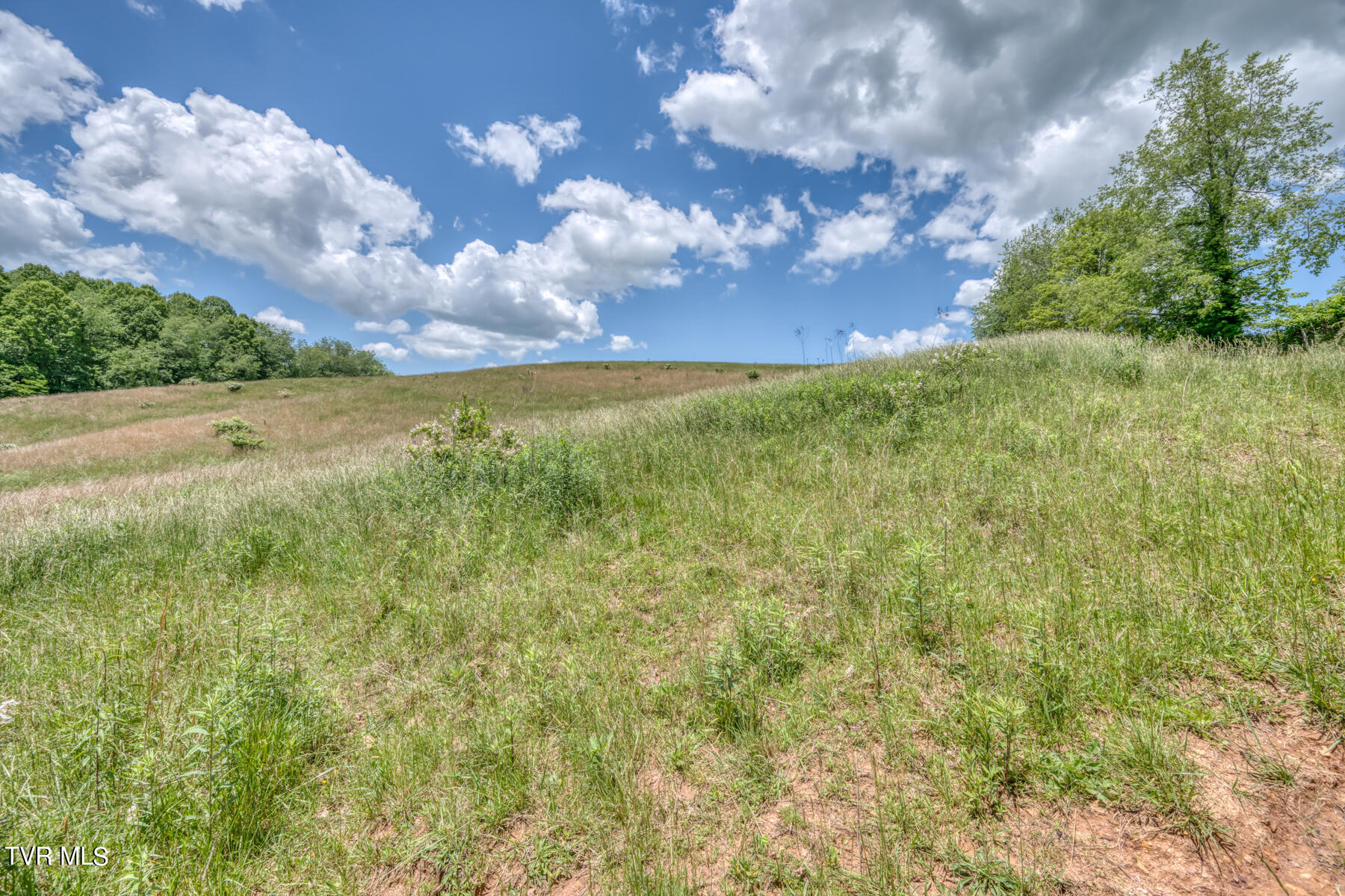 937 Big Dry Run Road Property Photo 15