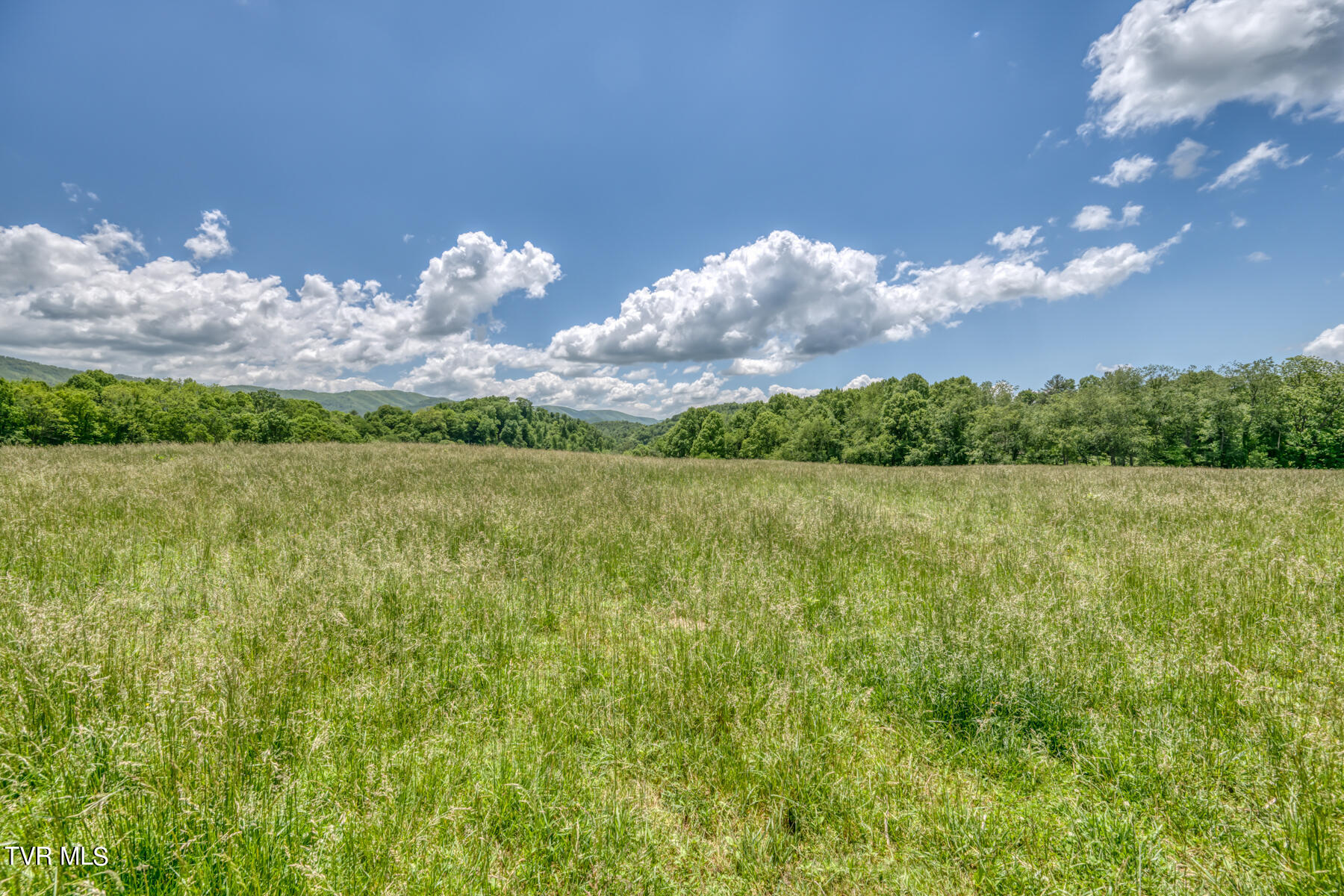 937 Big Dry Run Road Property Photo 17