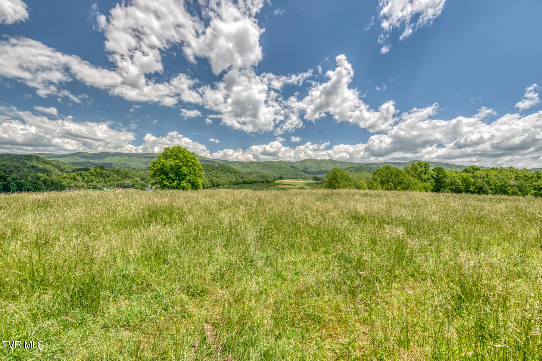 937 Big Dry Run Road Property Photo 18