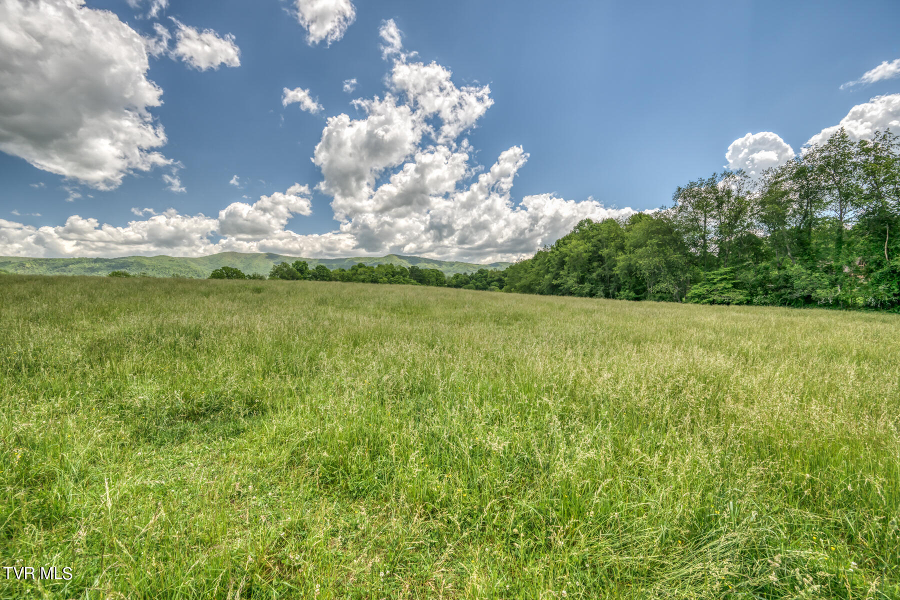 937 Big Dry Run Road Property Photo 24