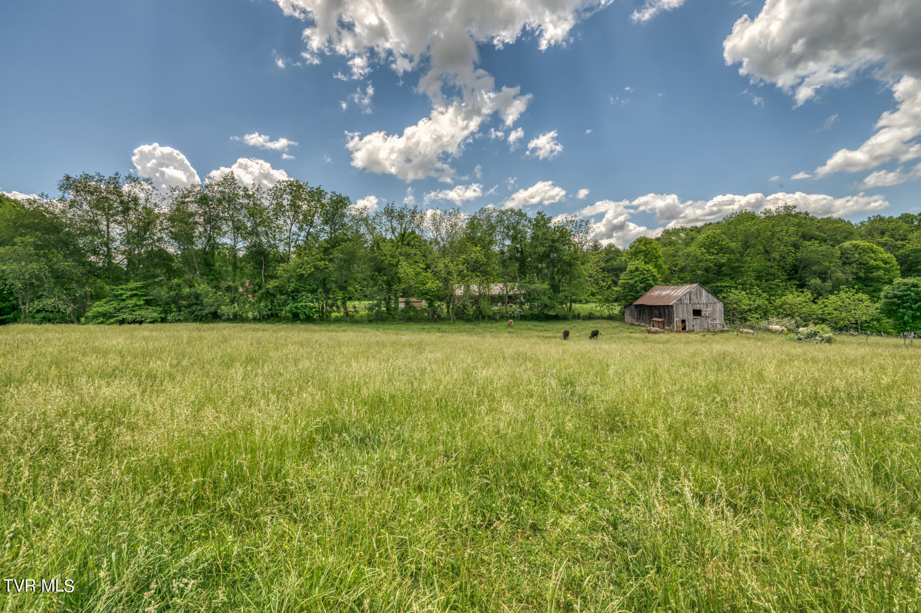 937 Big Dry Run Road Property Photo 25