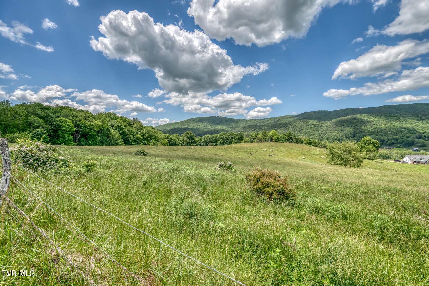 937 Big Dry Run Road Property Photo 29