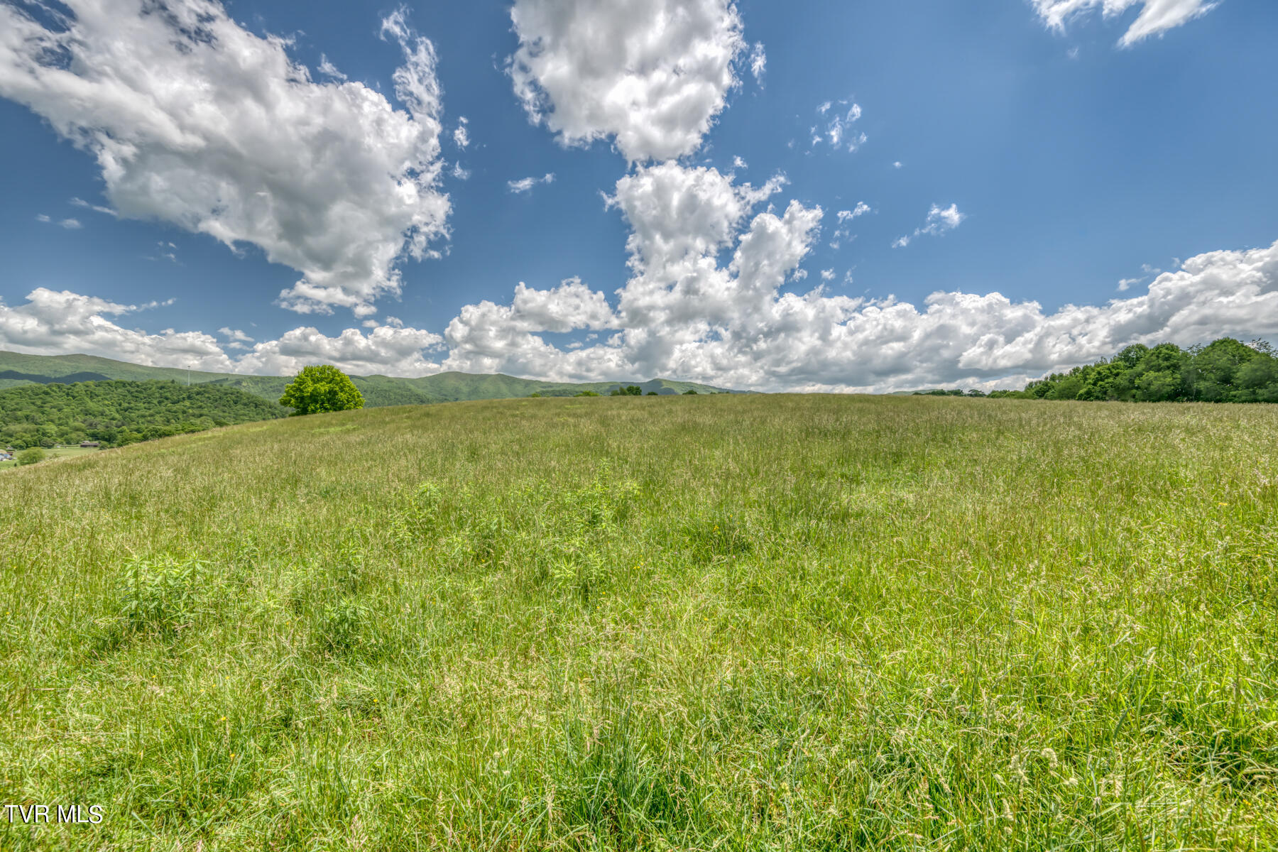 937 Big Dry Run Road Property Photo 30