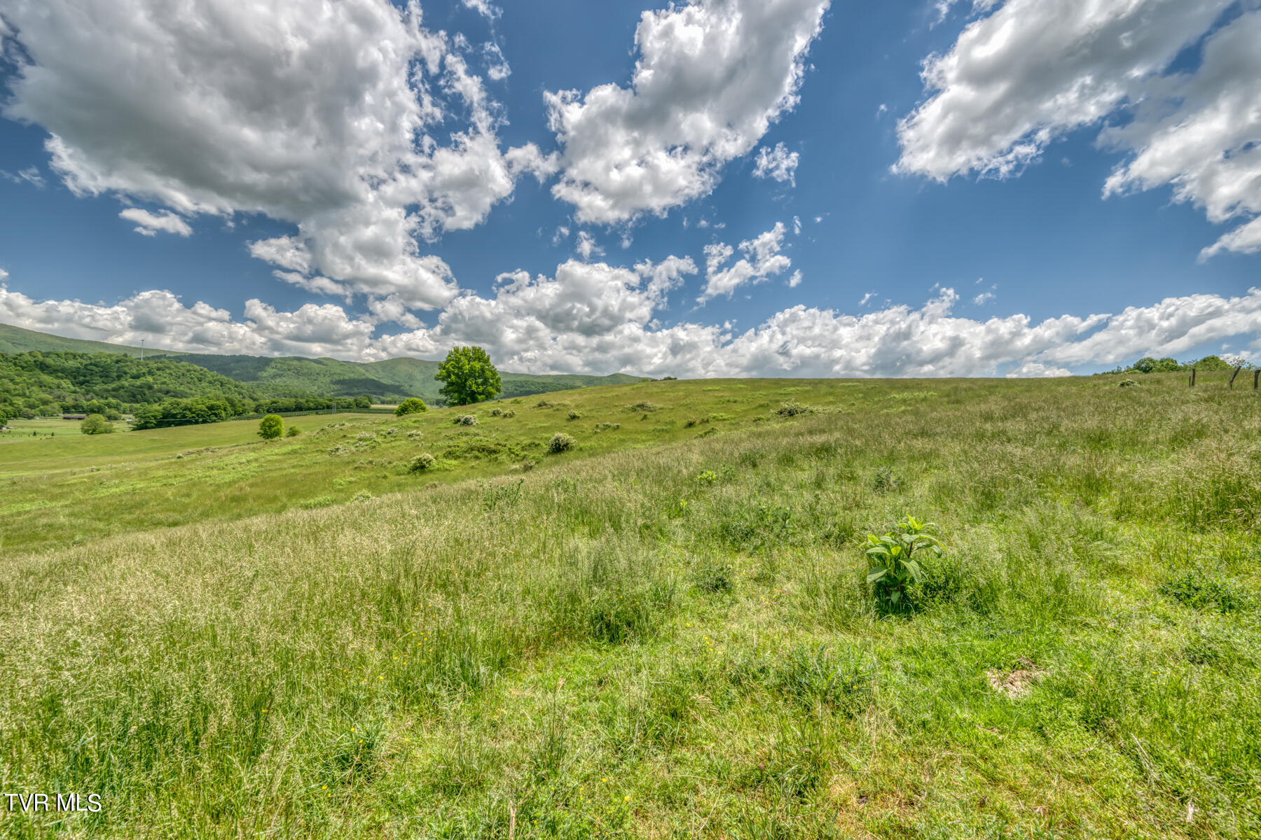 937 Big Dry Run Road Property Photo 35