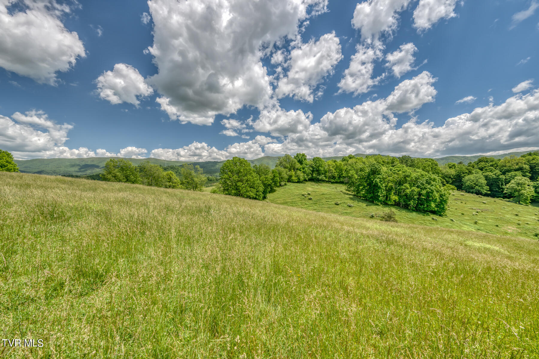 937 Big Dry Run Road Property Photo 36