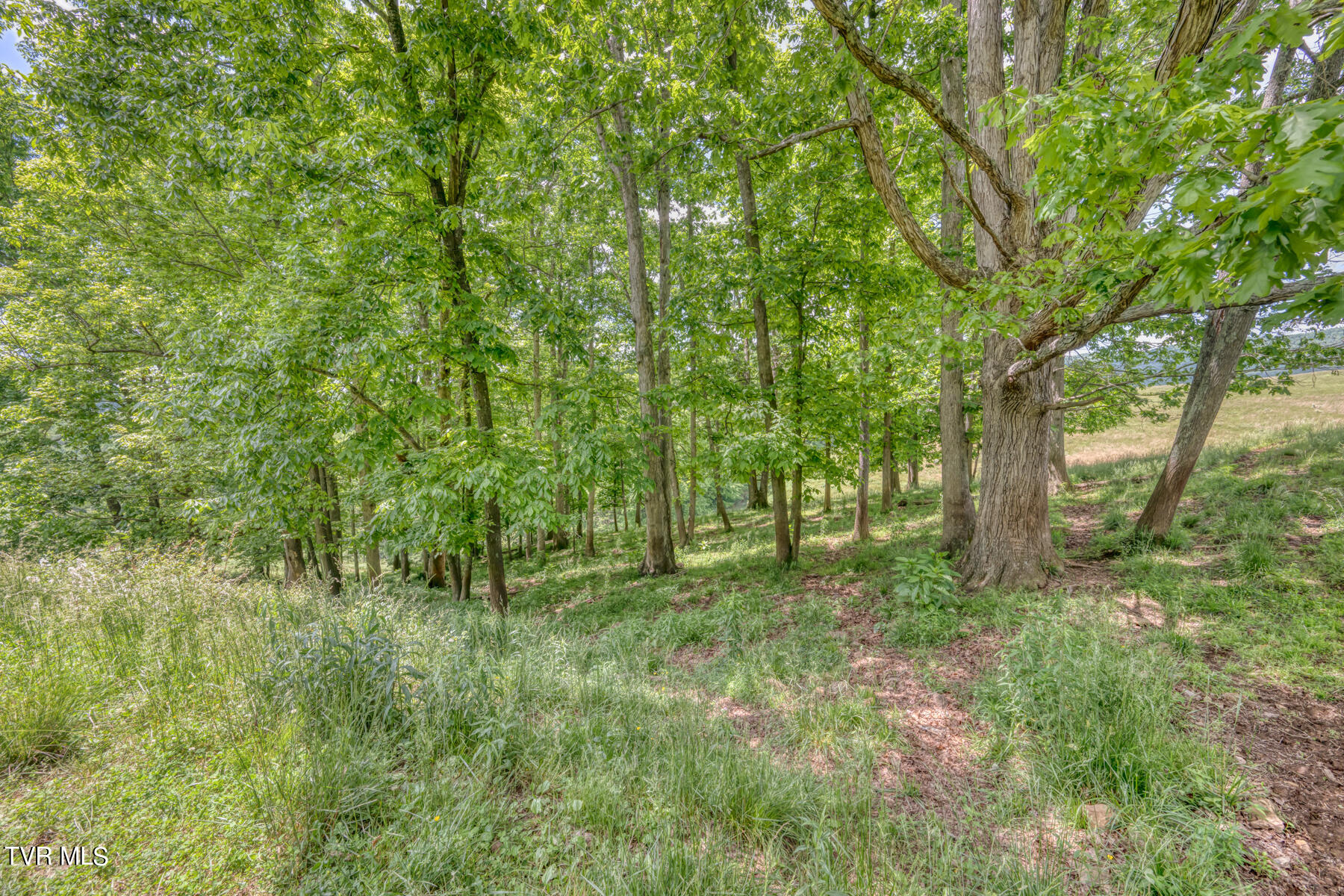 937 Big Dry Run Road Property Photo 37