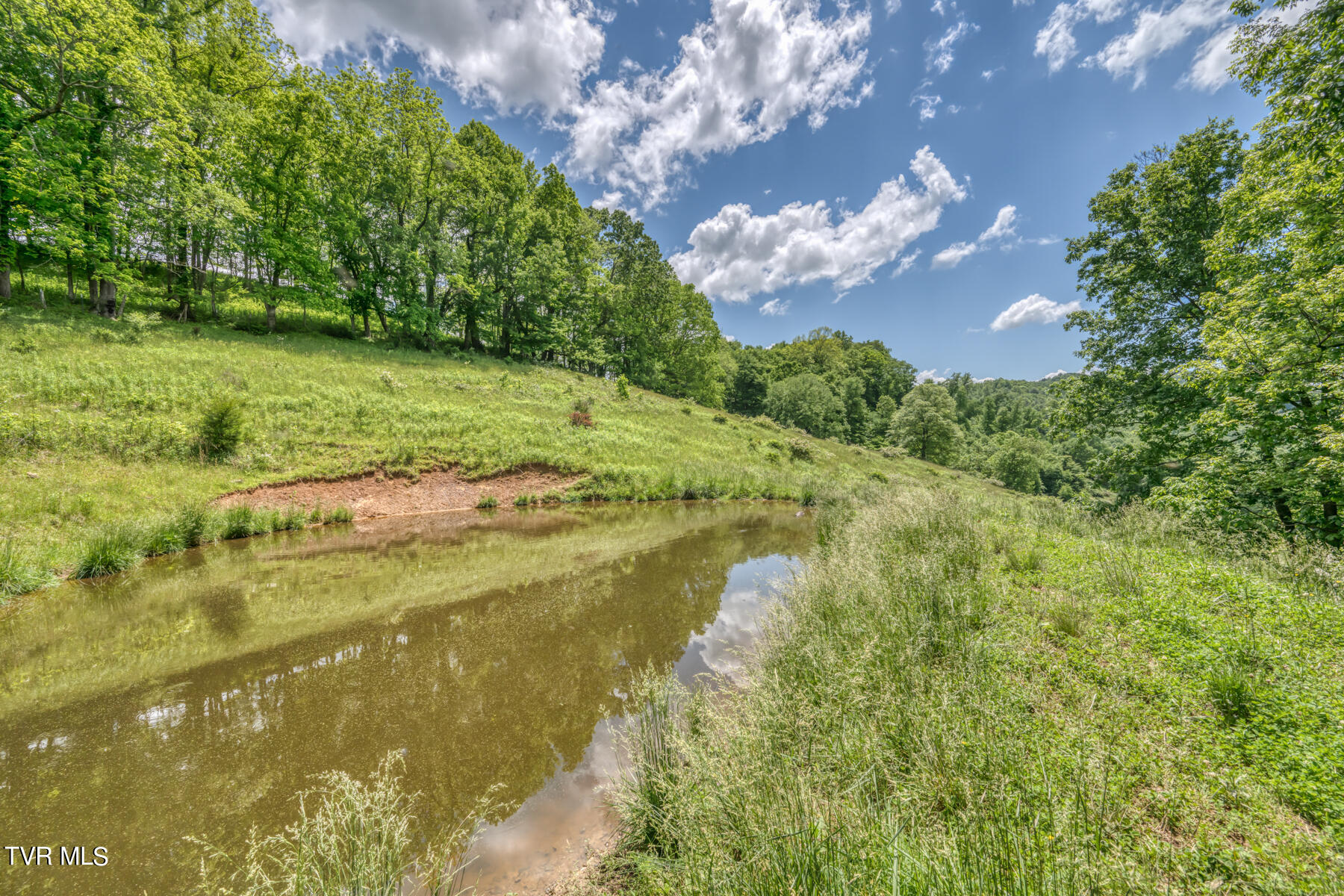 937 Big Dry Run Road Property Photo 38