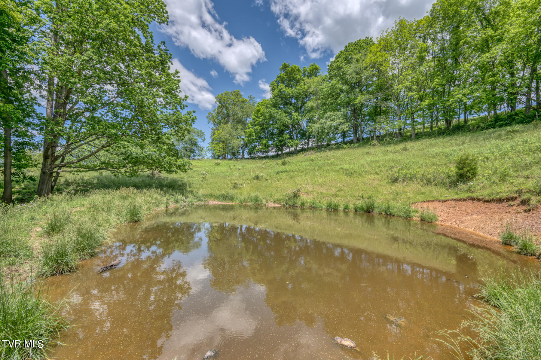 937 Big Dry Run Road Property Photo 39