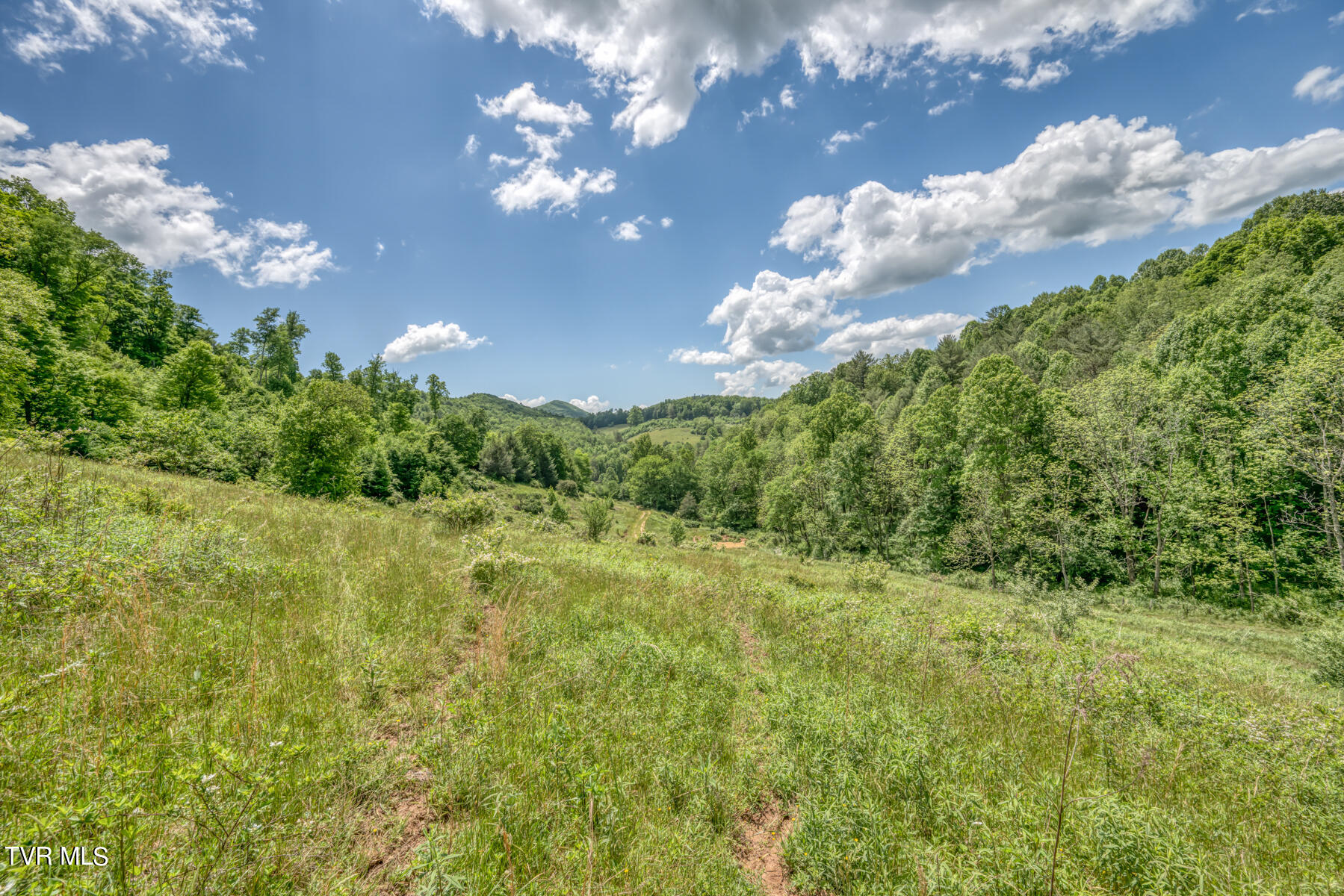 937 Big Dry Run Road Property Photo 40