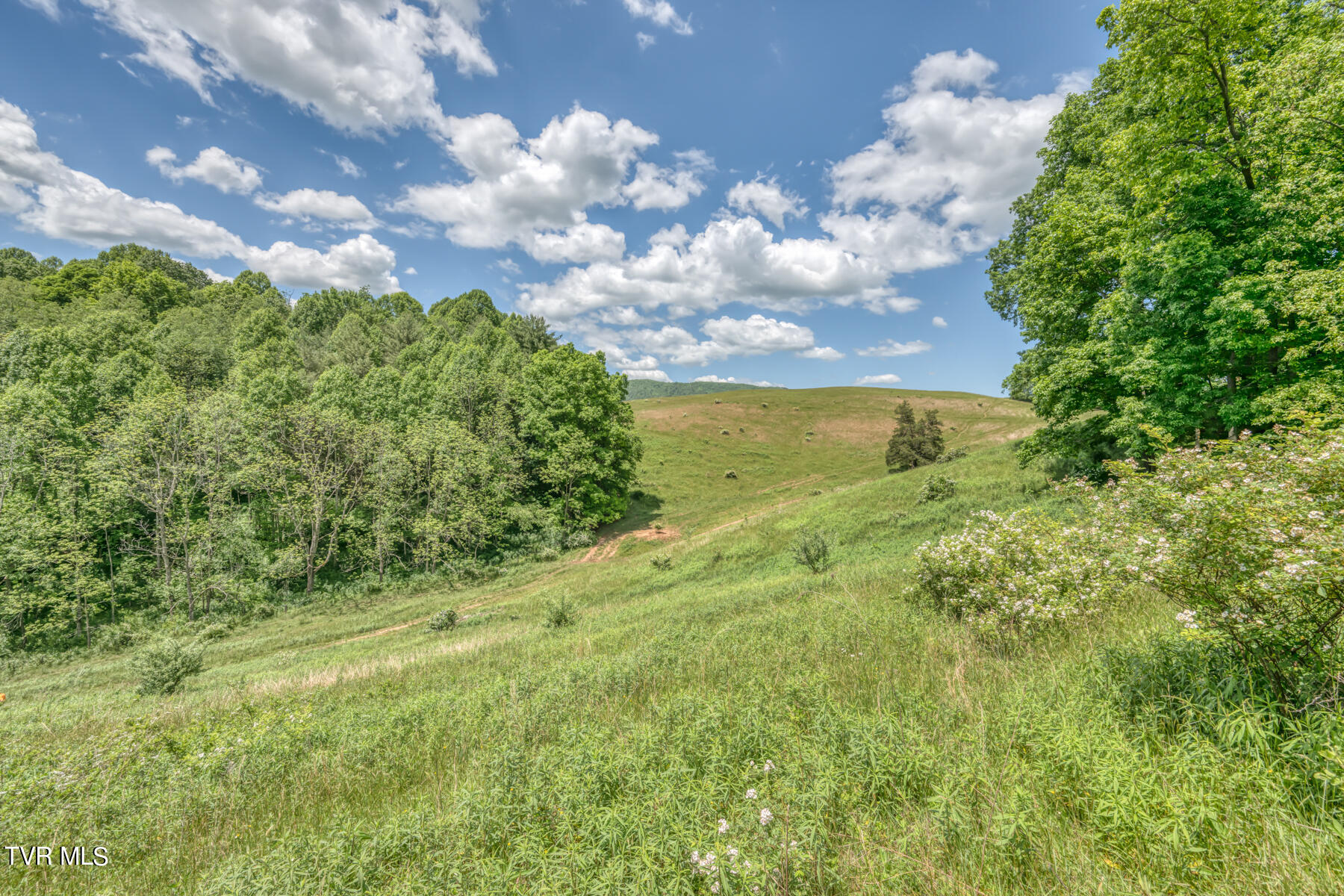 937 Big Dry Run Road Property Photo 41
