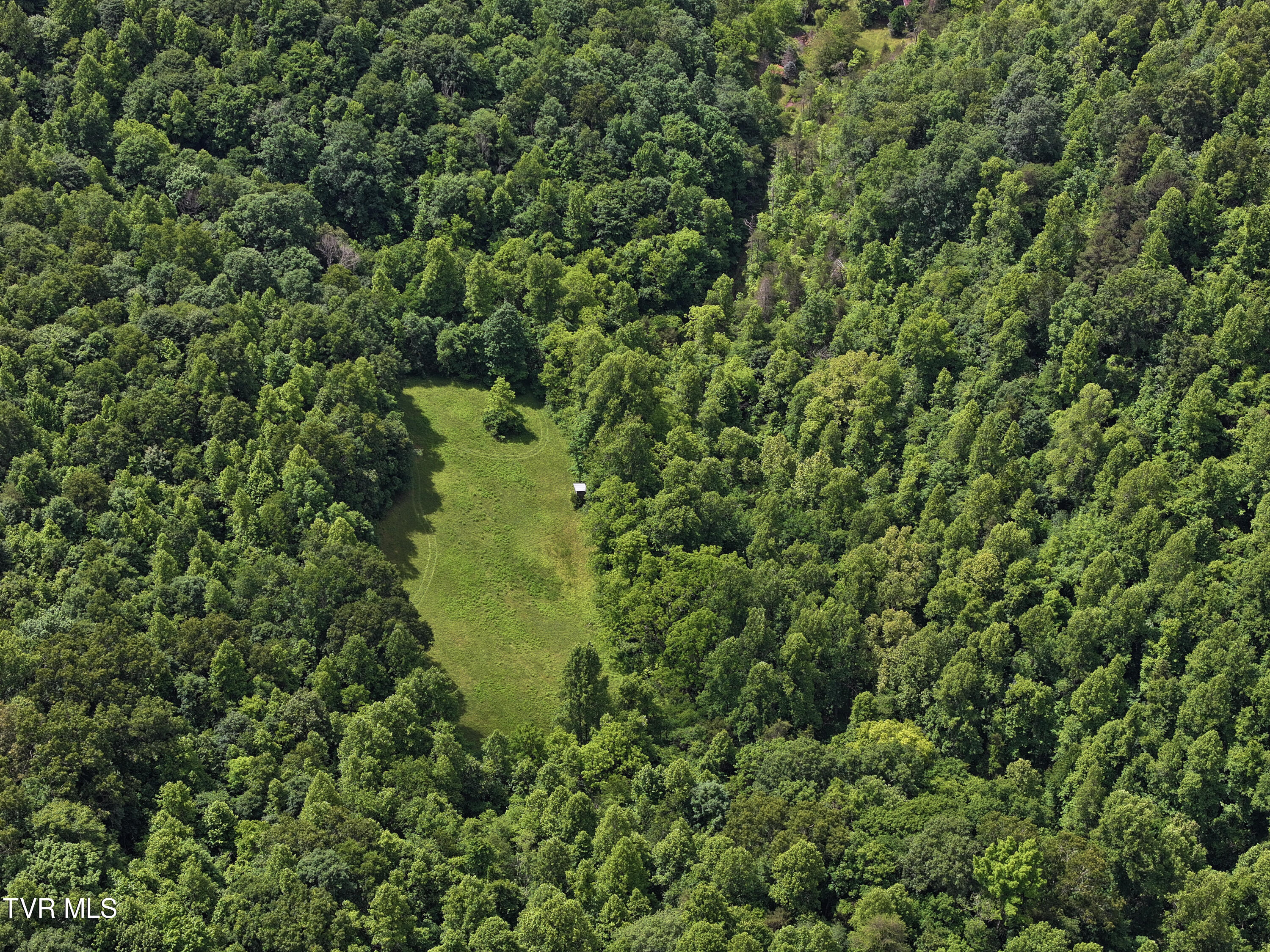 000 Goode Hollow Road Property Photo 15