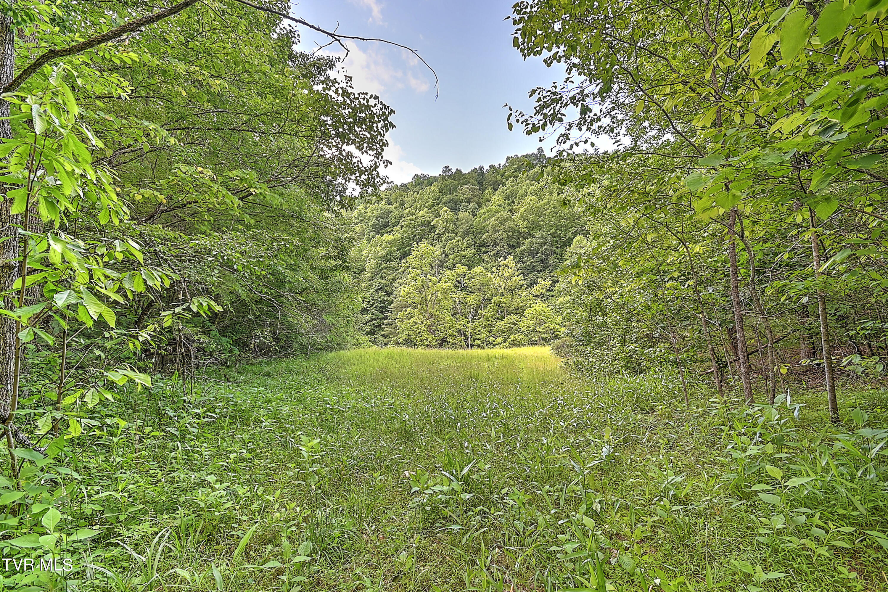 000 Goode Hollow Road Property Photo 16