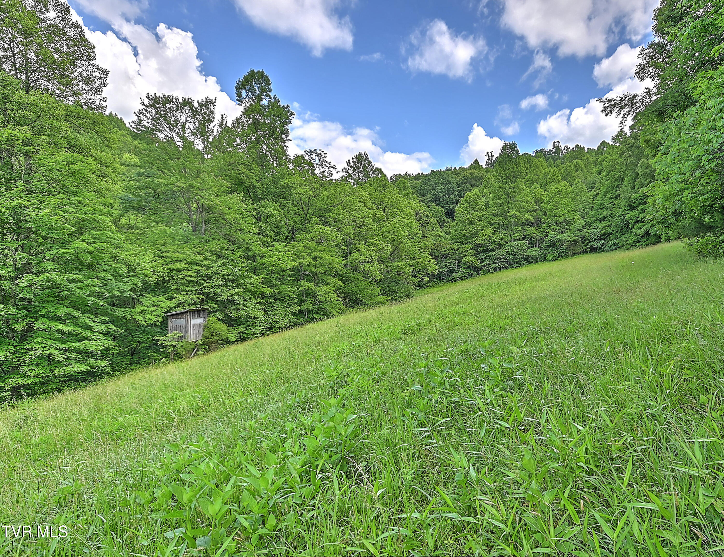 000 Goode Hollow Road Property Photo 17