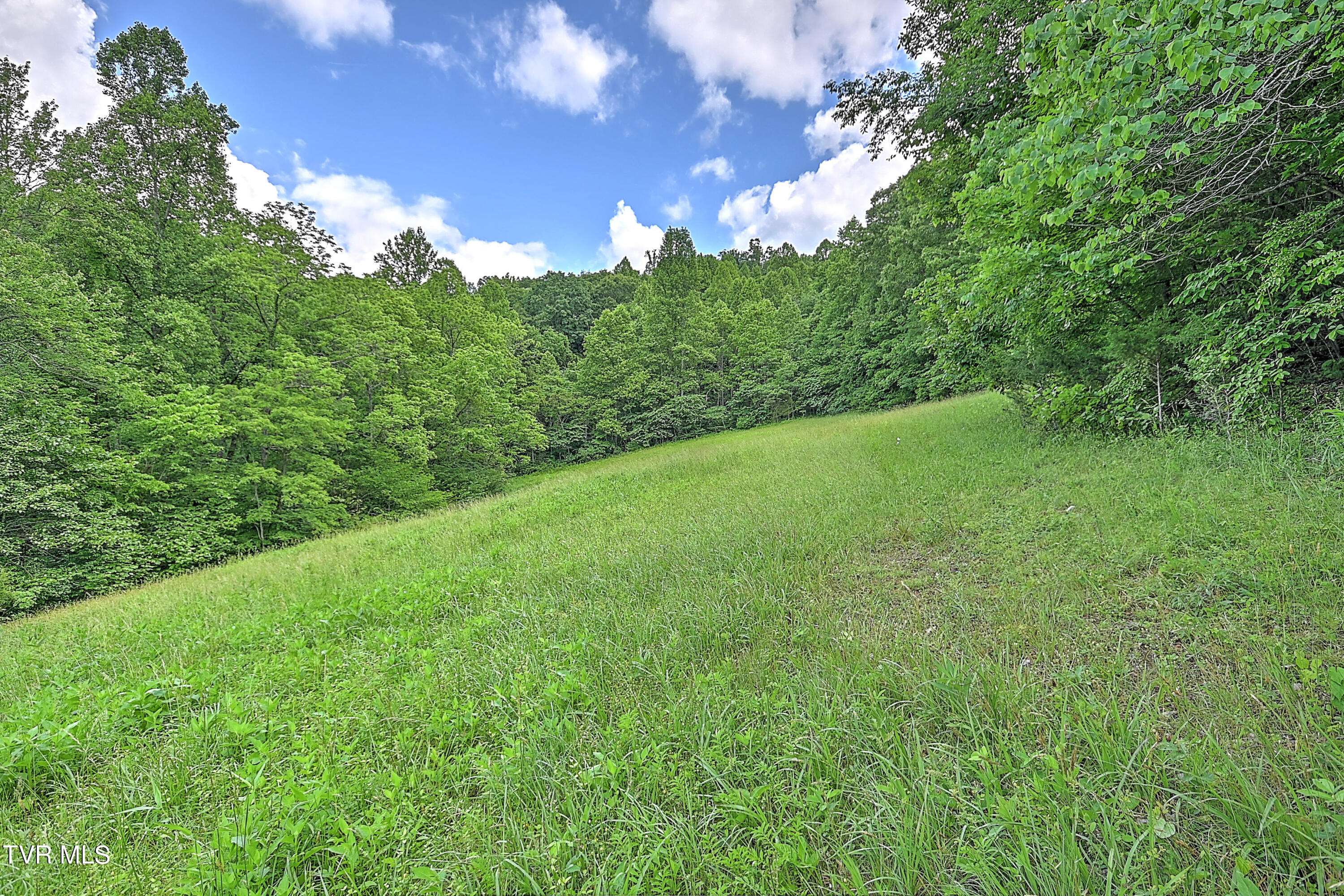 000 Goode Hollow Road Property Photo 18