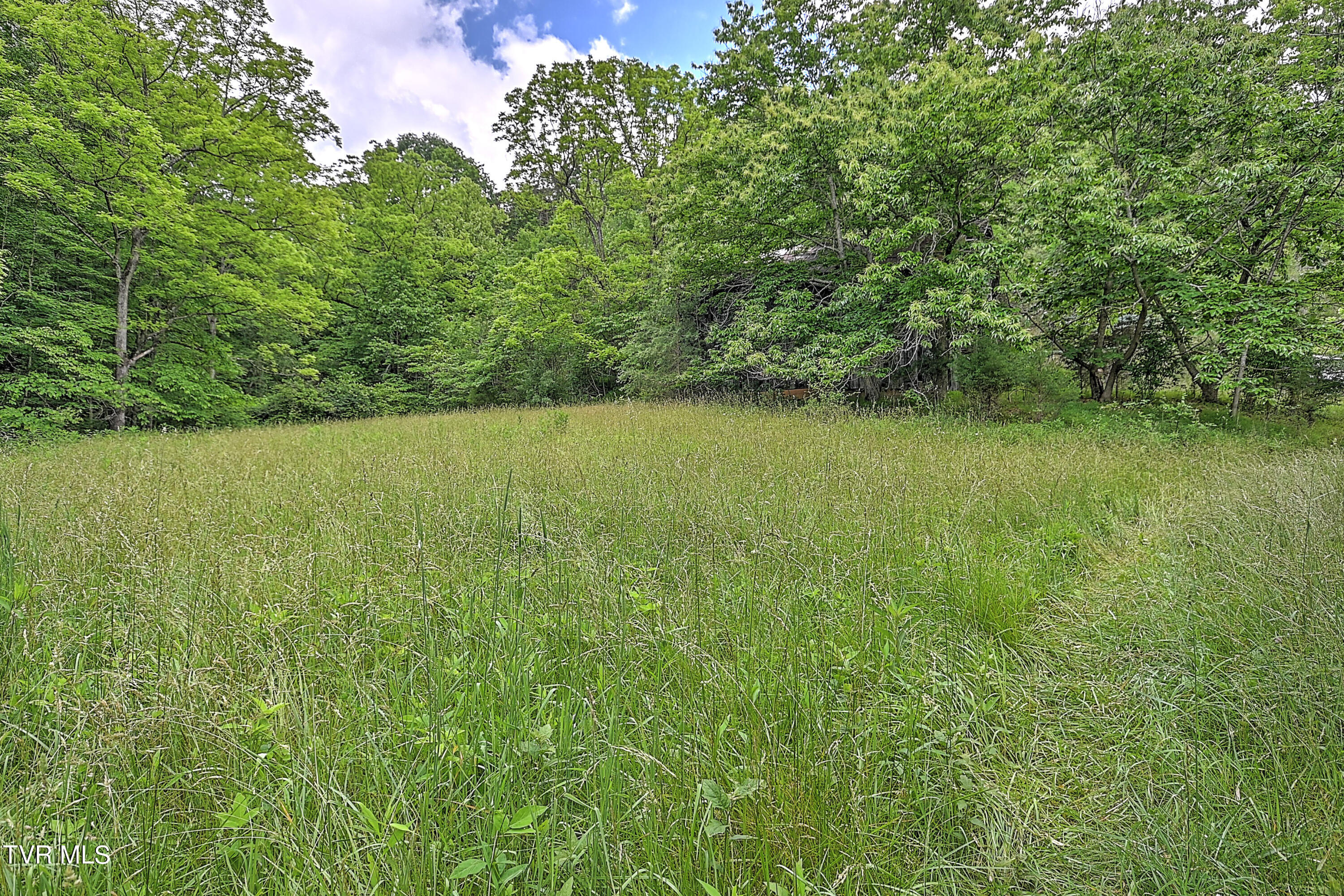 000 Goode Hollow Road Property Photo 19