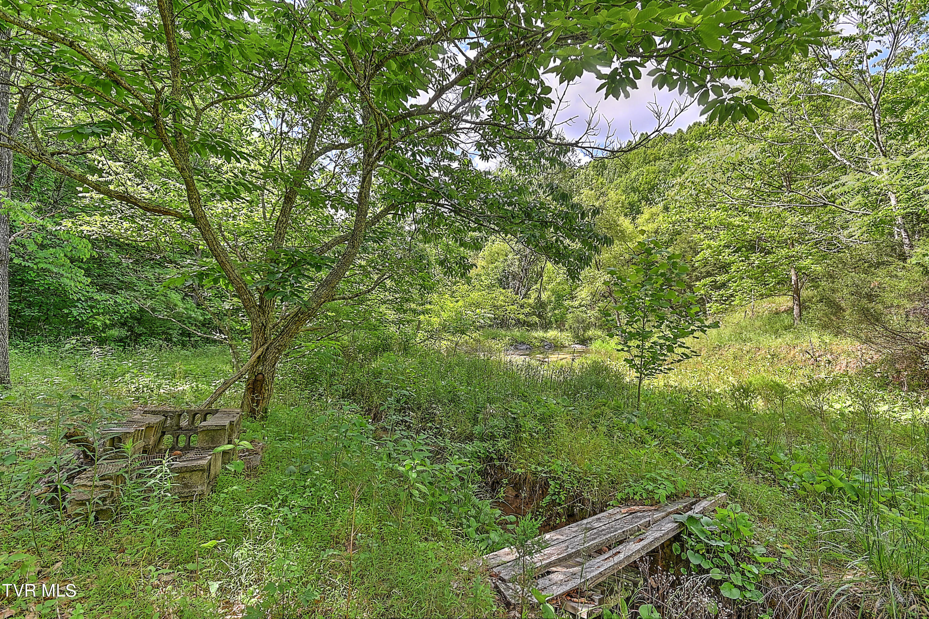 000 Goode Hollow Road Property Photo 24