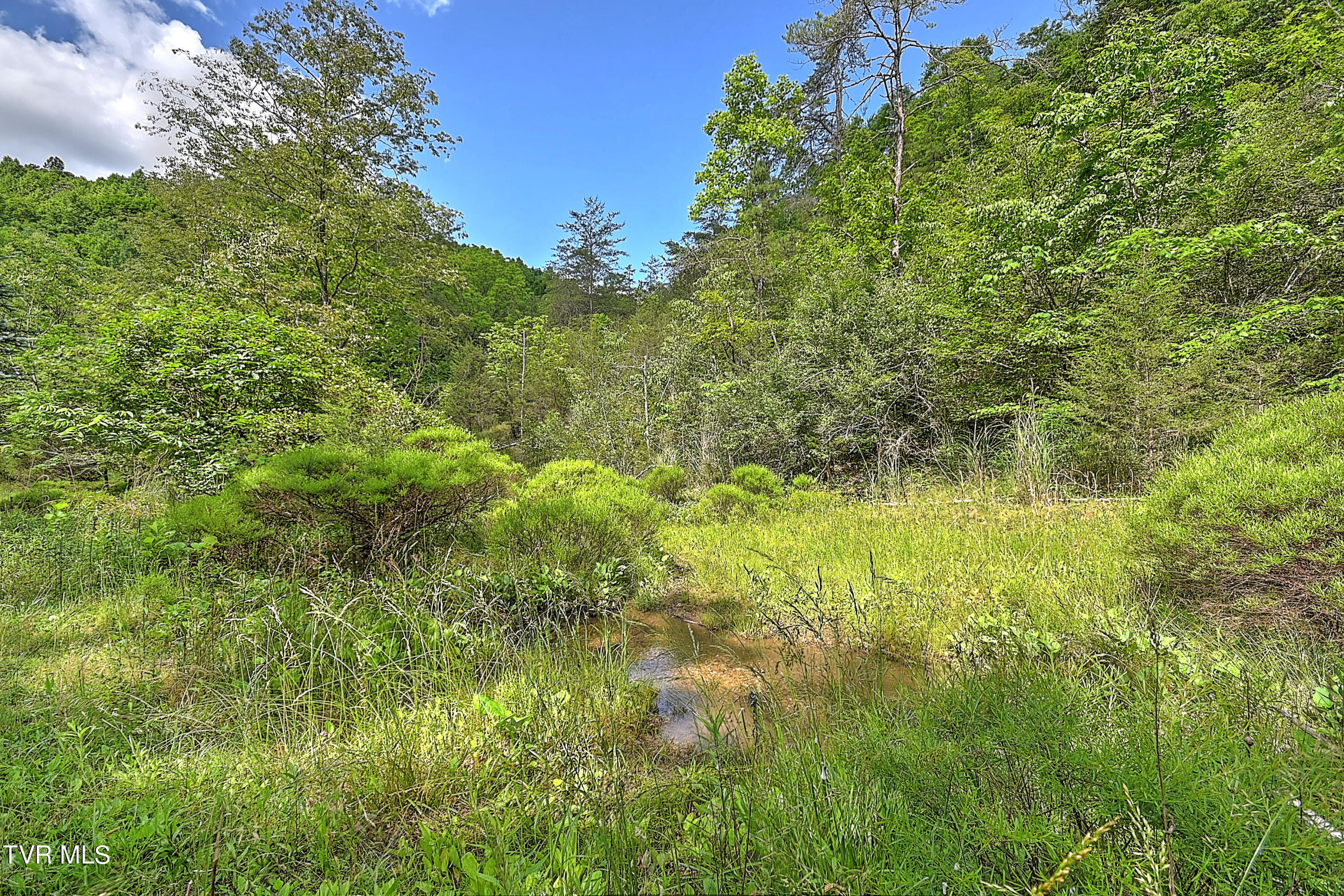 000 Goode Hollow Road Property Photo 25