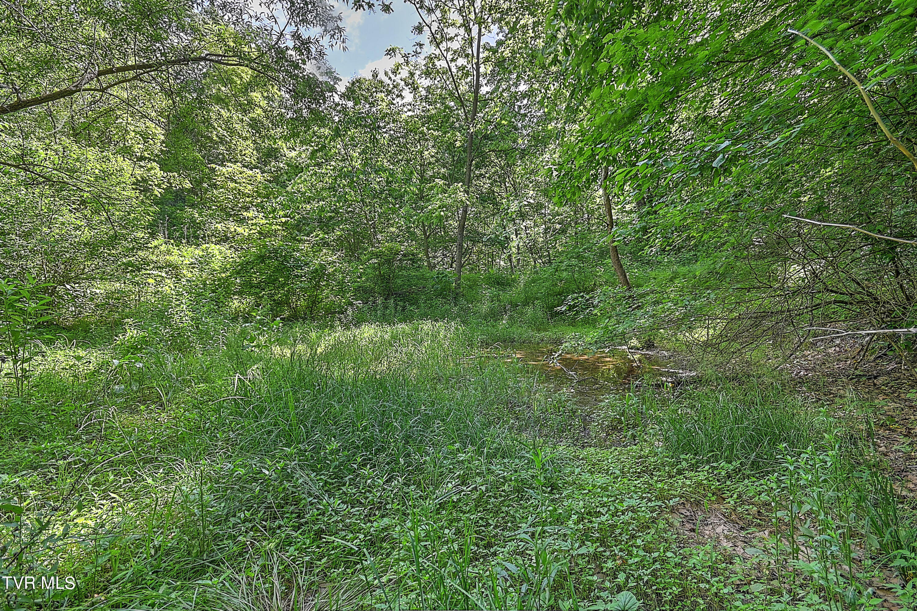 000 Goode Hollow Road Property Photo 30