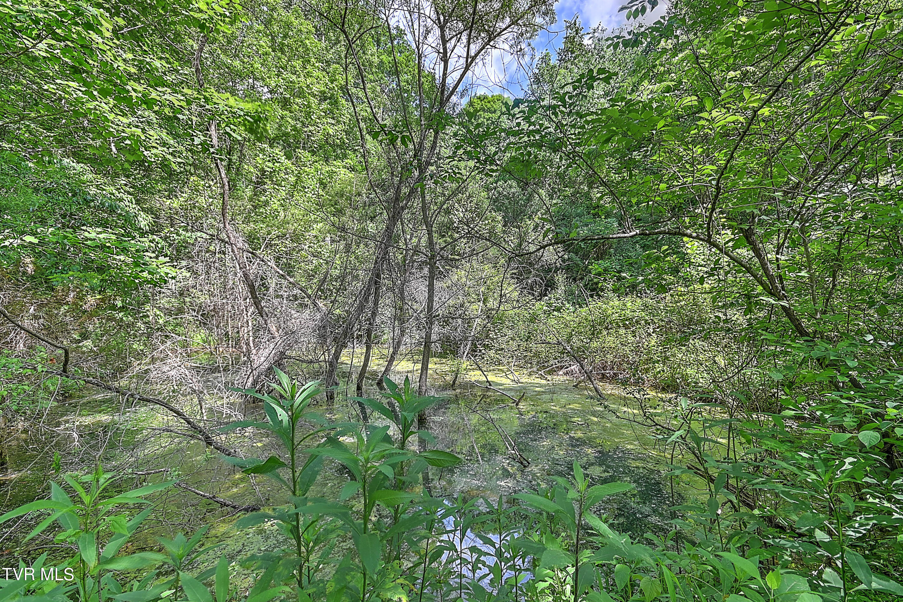 000 Goode Hollow Road Property Photo 31